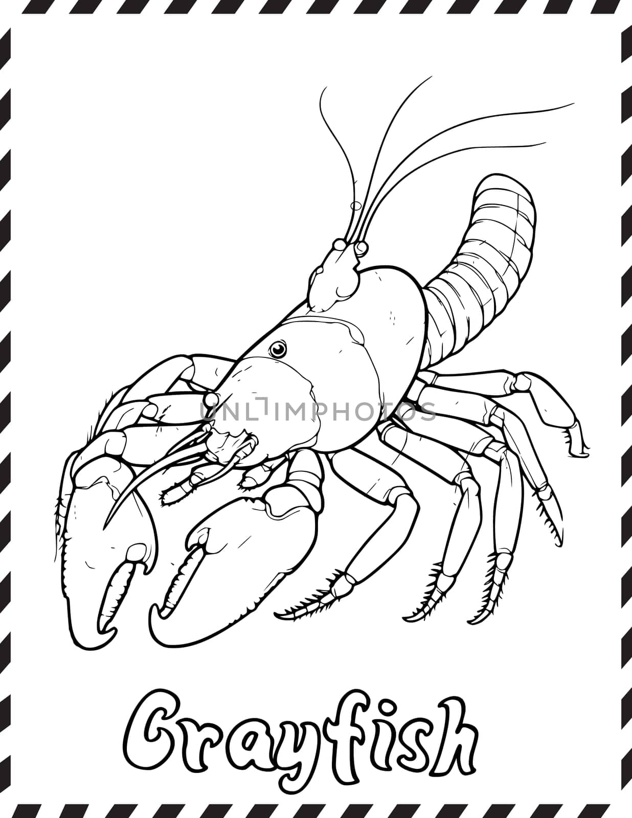 Crayfish Coloring Pages Drawing For Kids