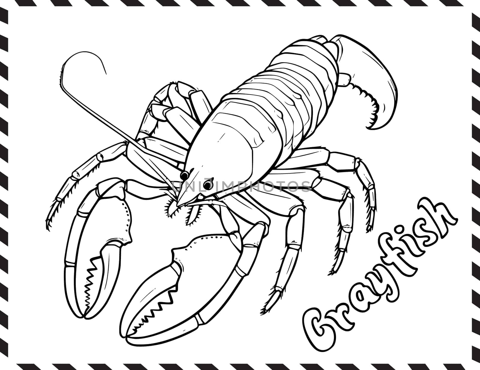 Crayfish Coloring Pages Drawing For Kids