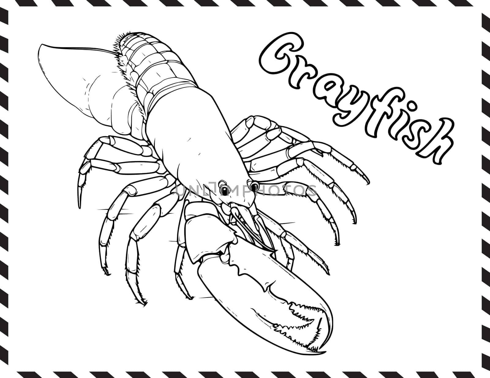 Crayfish In Sea Coloring Pages Drawing For Kids