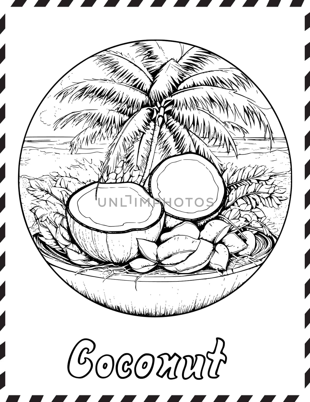 Coconut Coloring Page for Kids