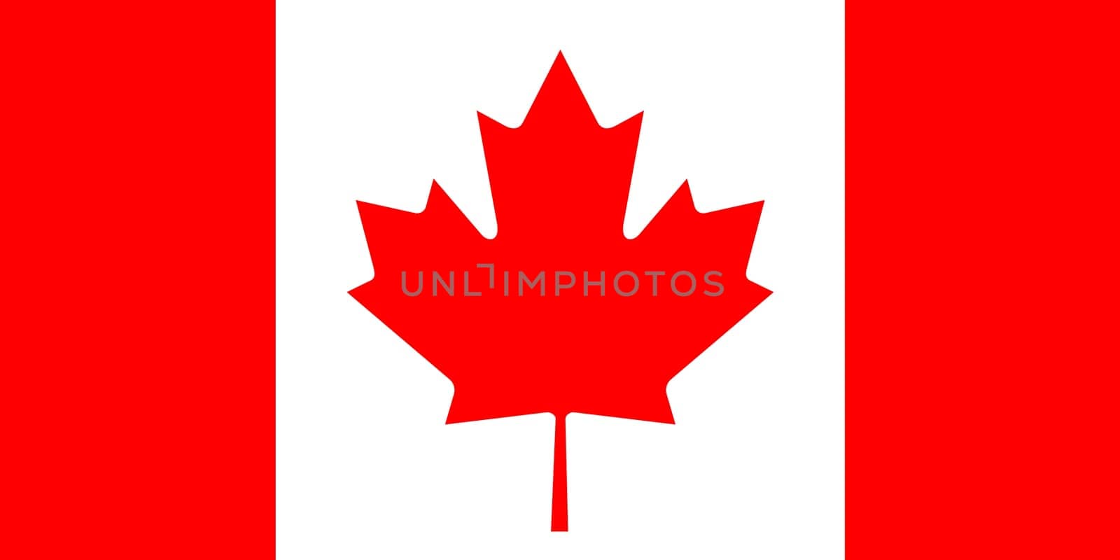 Flag of Canada. Canadian flag with red maple leaf on white background. Canadian national flag. Canadian symbol. American country
