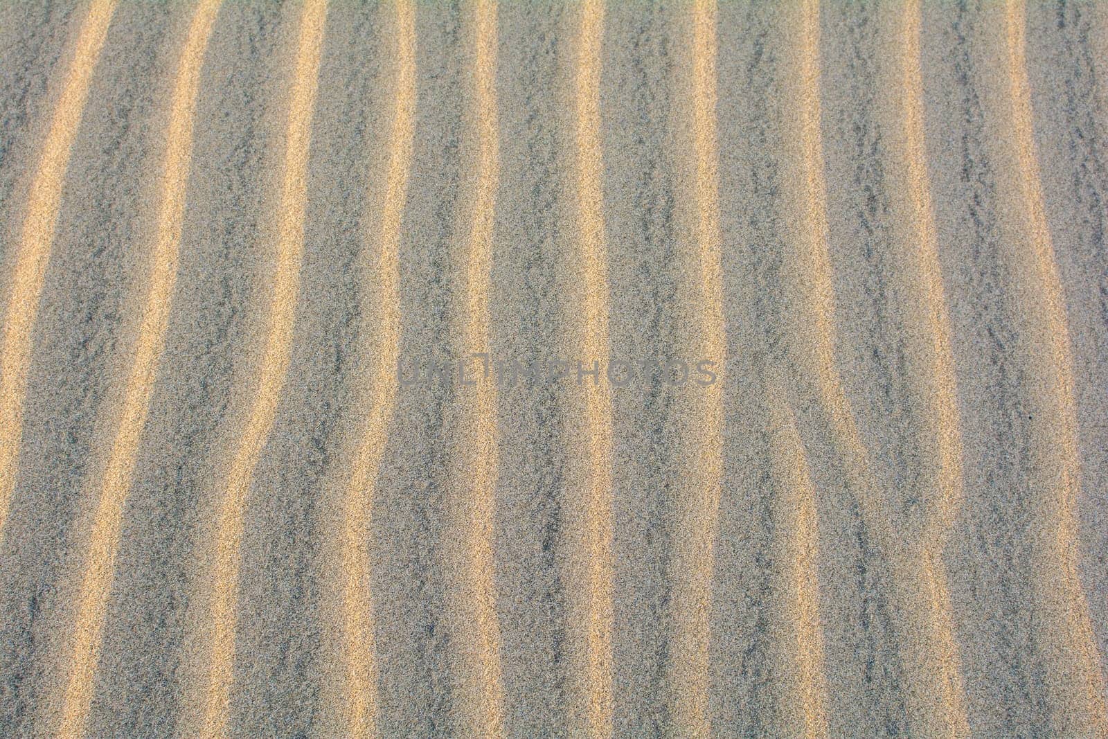Wavy sand on a dune, full frame