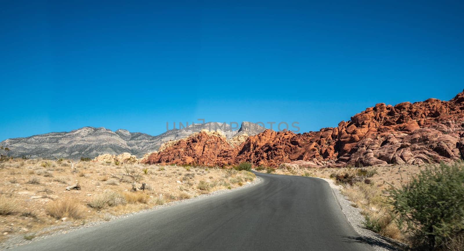 Empty long nevada mountain road to the horizon on a sunny summer day at bright sunset