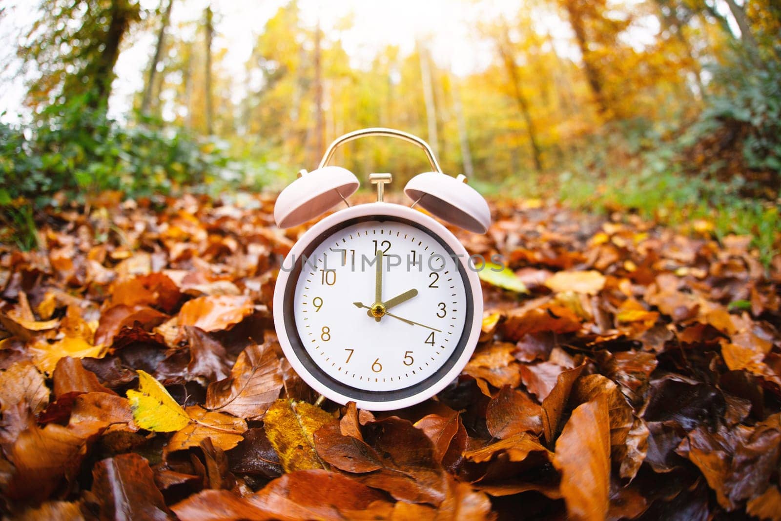 World earth hour, alarm clock stands in the forest, turn off lights, save energy, protect nature and planet earth, environment and ecology