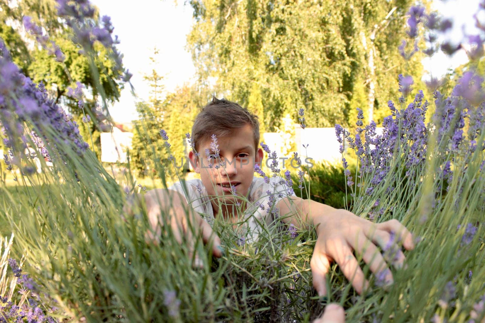 cute twelve-year-old boy in purple lavender flowers in sunlight feeling happy, having fun and showing positive and funny emotions