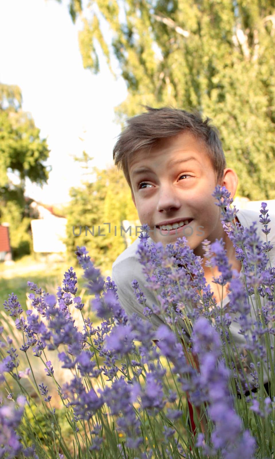 cute twelve-year-old boy in purple lavender flowers in sunlight feeling happy, having fun and showing positive and funny emotions