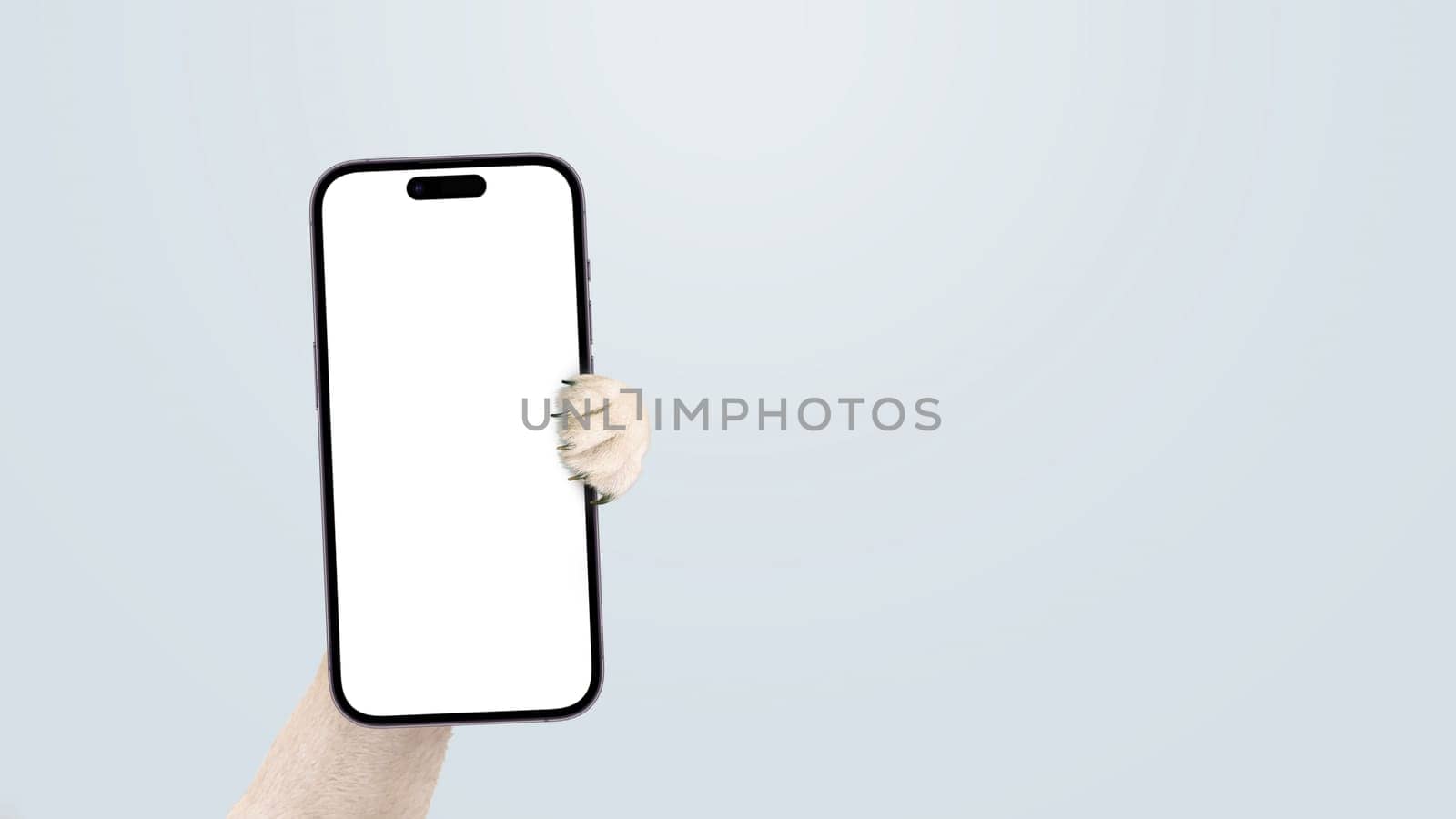Dog paw holding smartphone mock up on isolated background. Smartphone, creative idea. Funny animal shows the phone
