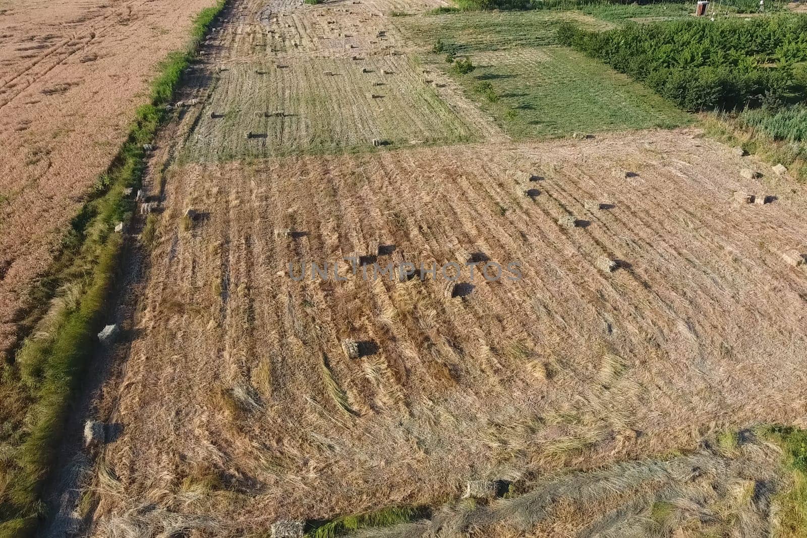 Rectangular bales of hay on the field. Hay harvest