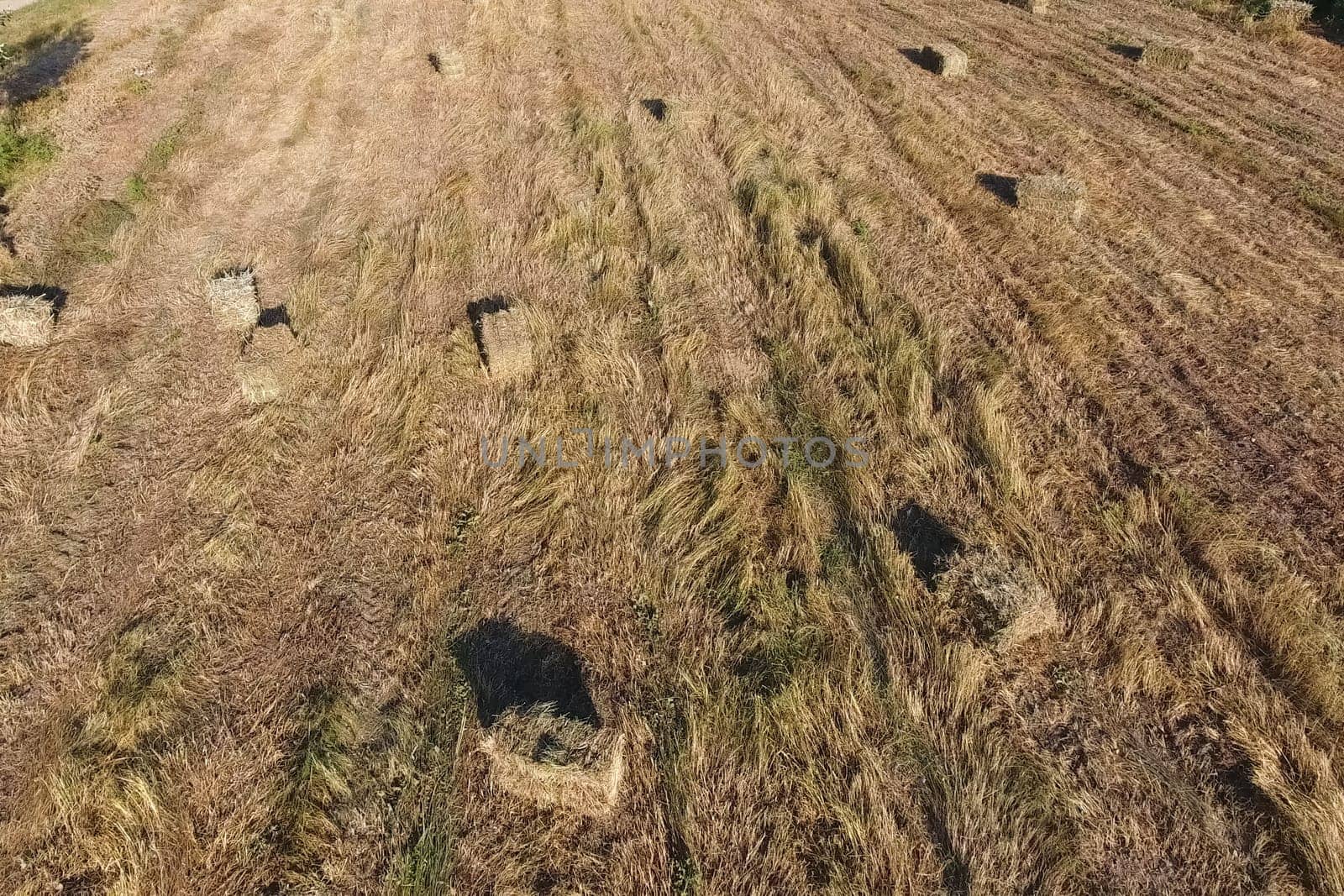 Rectangular bales of hay on the field. Hay harvest