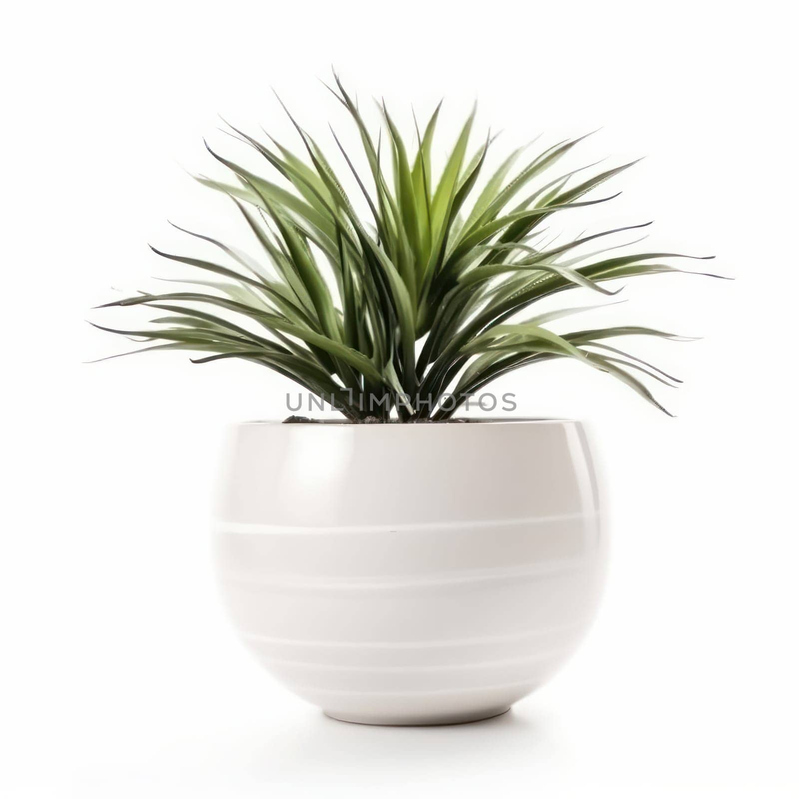 A beautiful and sustainable home accessory, a green plant in a modern white planter. Purifying your air and adding a touch of elegance to your space. AI Generative.