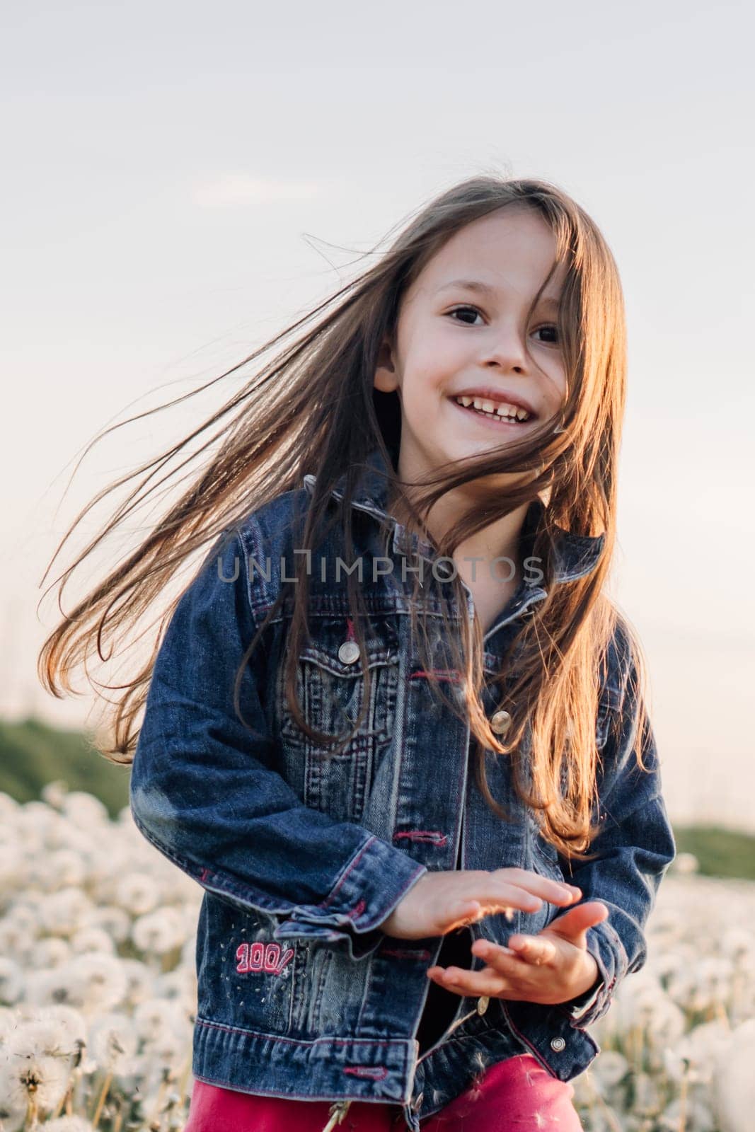 Portrait of adorable little girl with brown long hair walking in white dandelions meadow on sunny summer day and smiling brightly. Child in blue denim jacket enjoying vacation in nature. Vertical.