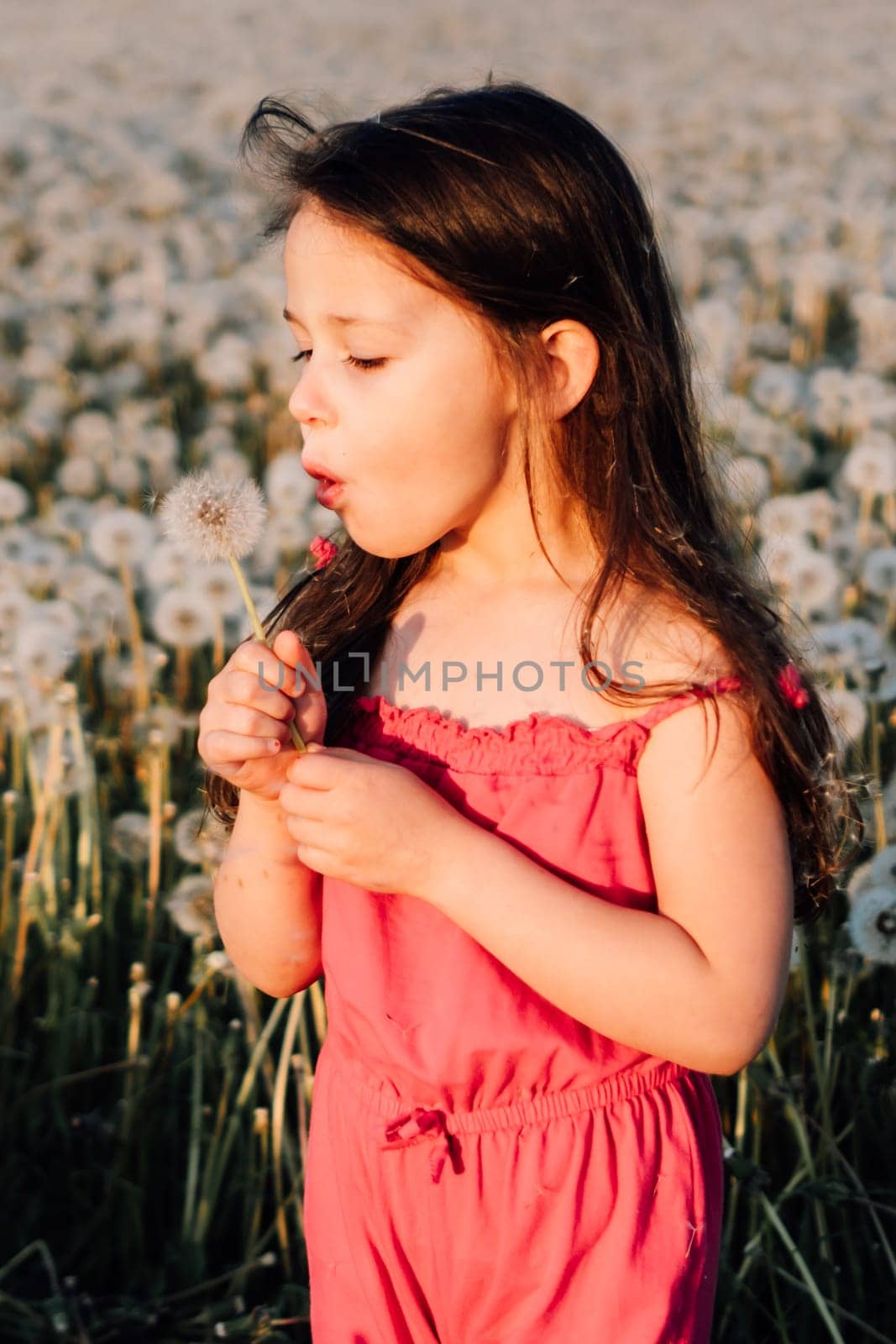 Gorgeous little girl wearing pink summer jumpsuit standing in field of white dandelions, holding one in hand and making wish. Cheerful child with brown long hair blowing fluffy flower. Vertical.