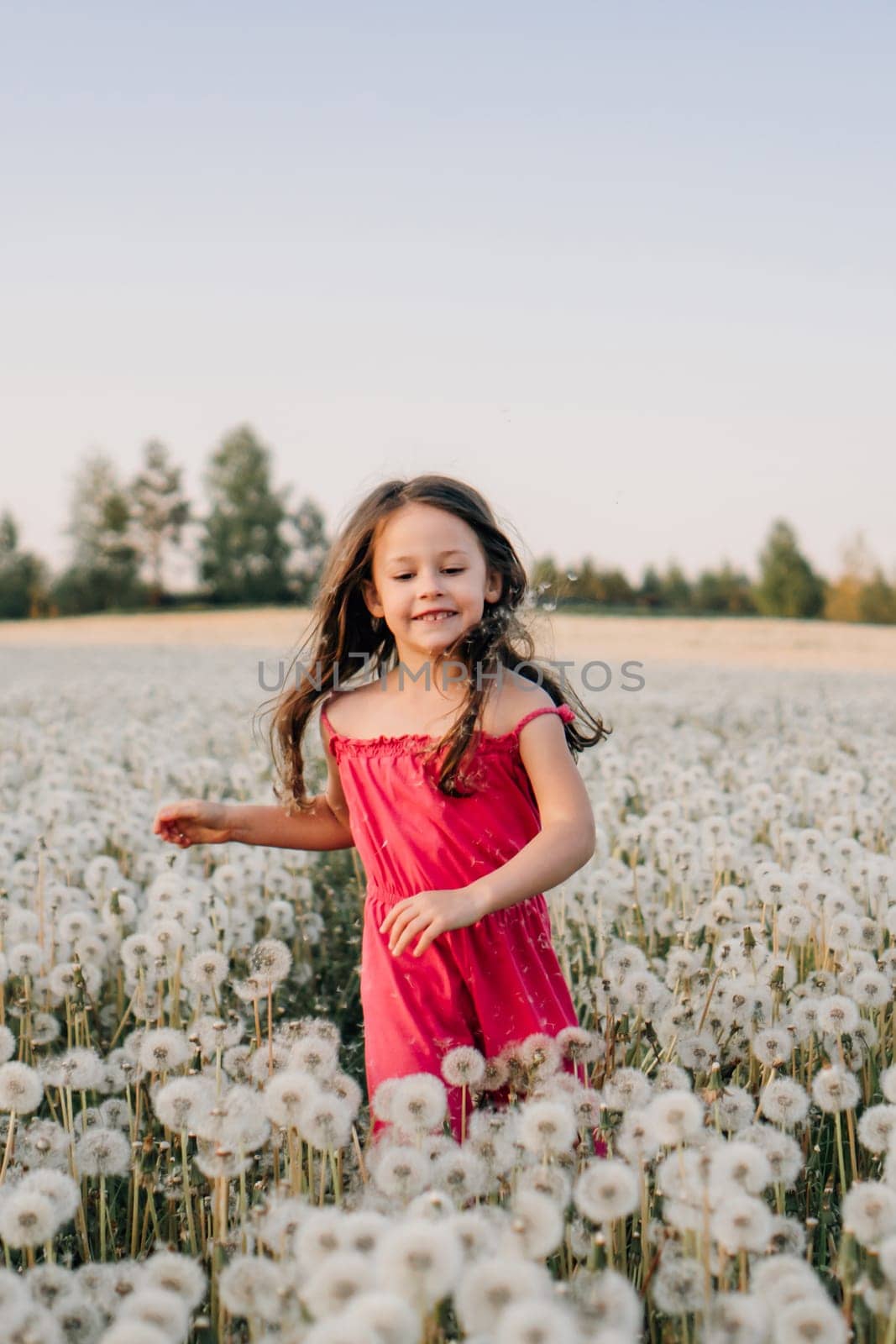 Loveable little girl with dark long hair running across field full of white dandelions and smiling happily. Female child in pink jumpsuit spending time outdoors and walking in flowers. Vertical.