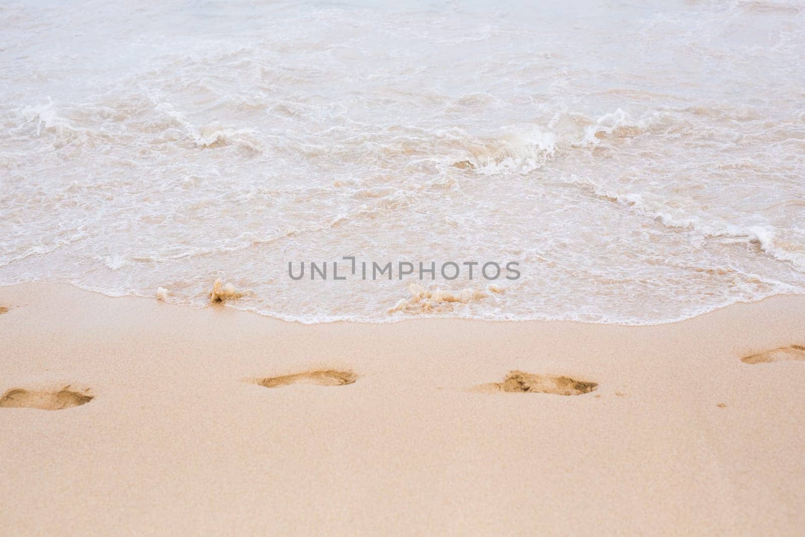 a lot of tracks on a sand of the beach