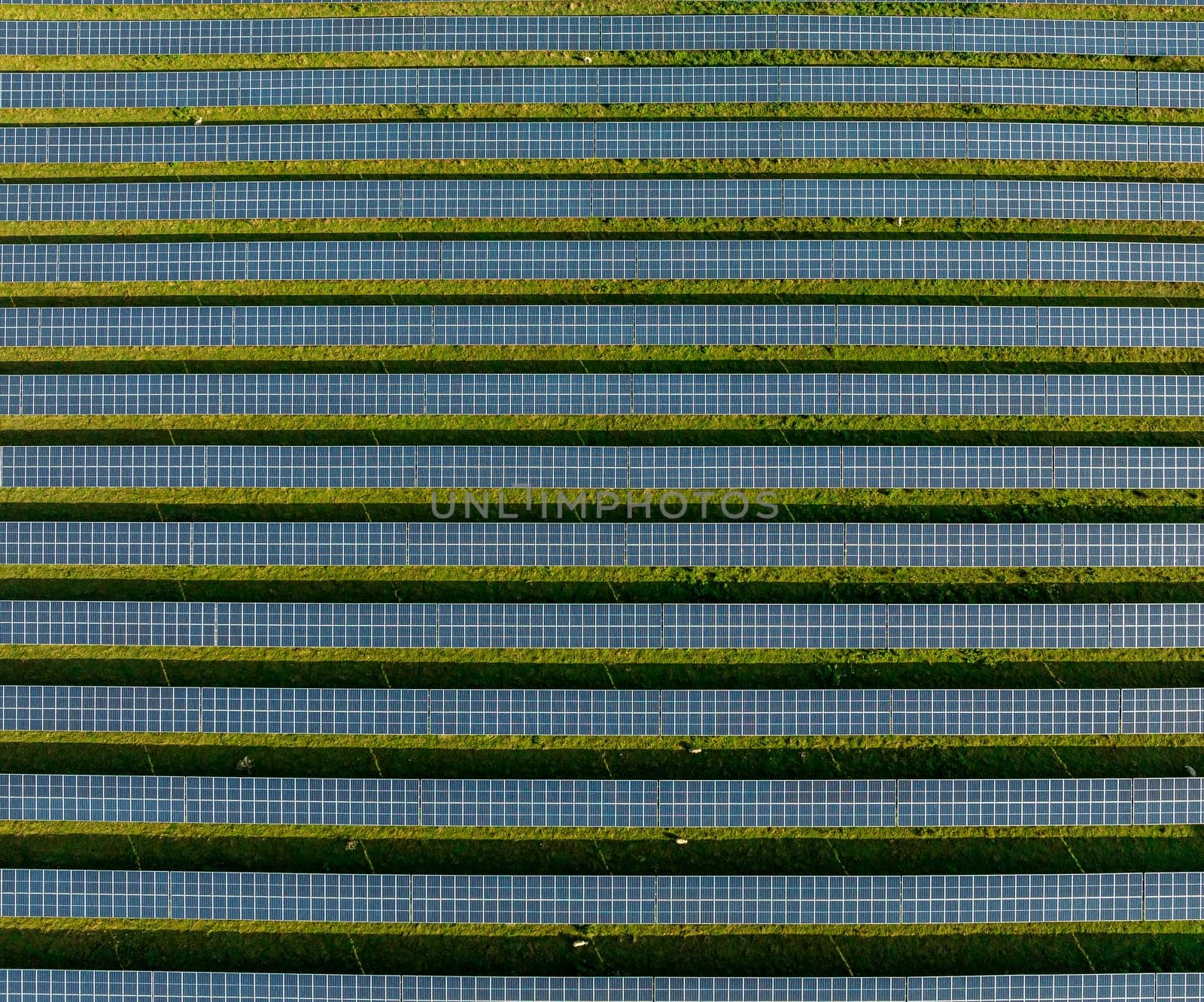 aerial top down view of a solar park in the netherlands