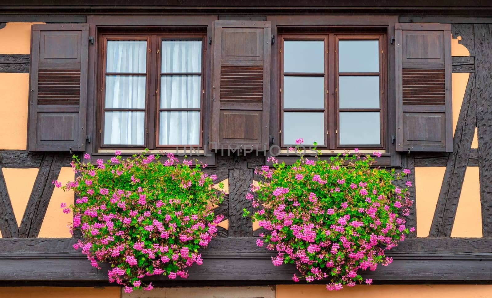 Windows with geraniums on the half-timbered house,Alsace, France