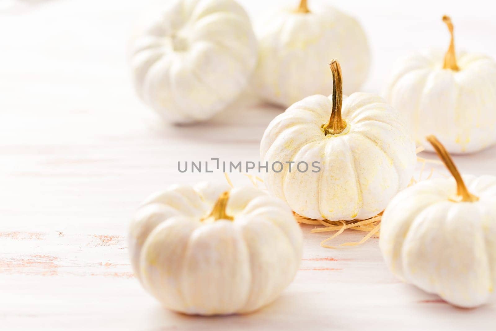White pumpkins on wooden table, Thanksgiving and autumn decoration