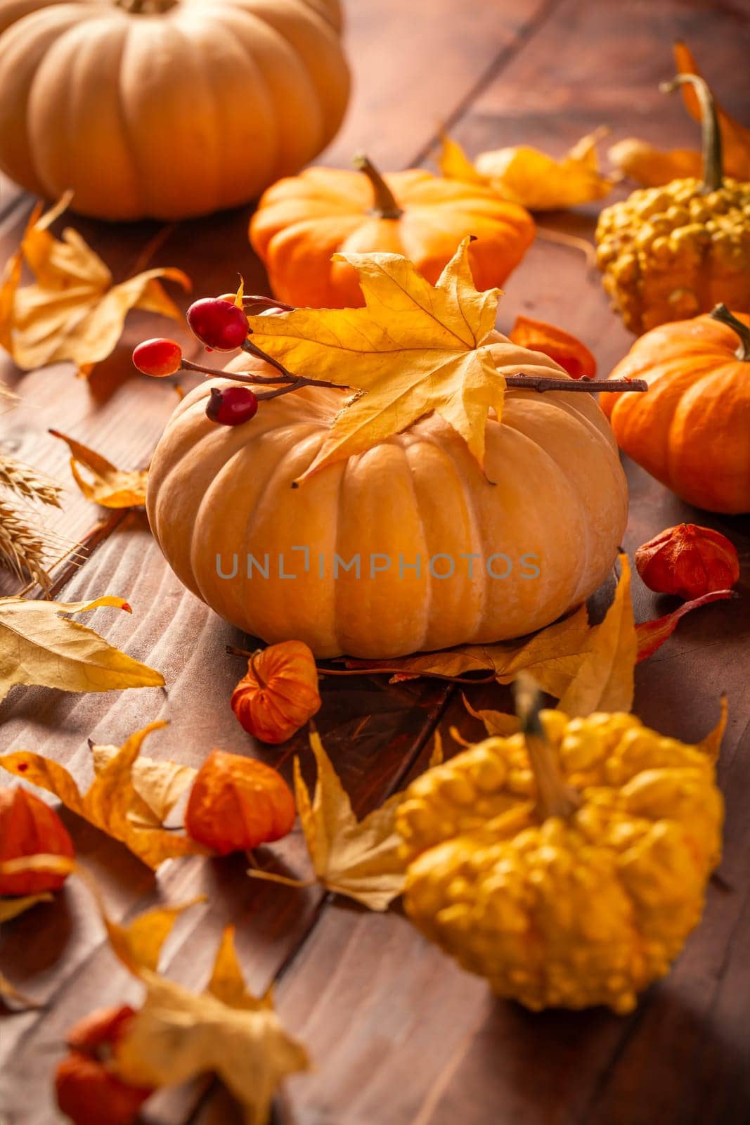 Autumn still life with pumpkins and leaves on wooden background. Thanksgiving home decoration.