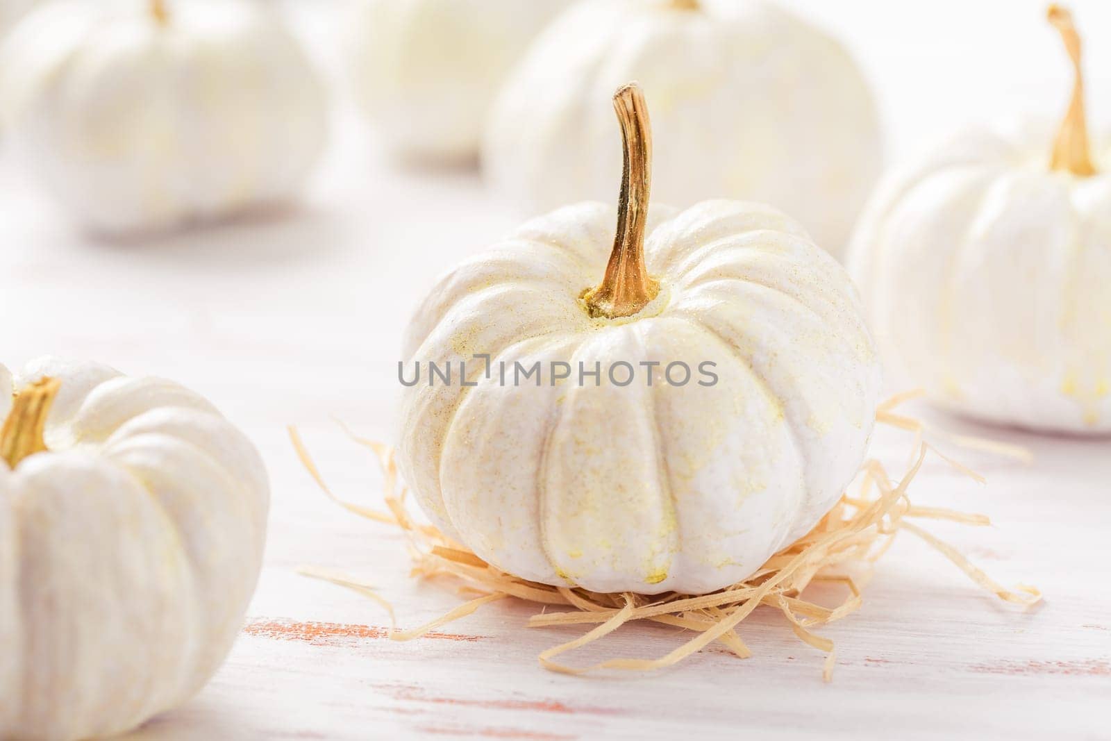 White pumpkins on wooden table, Thanksgiving and autumn decoration