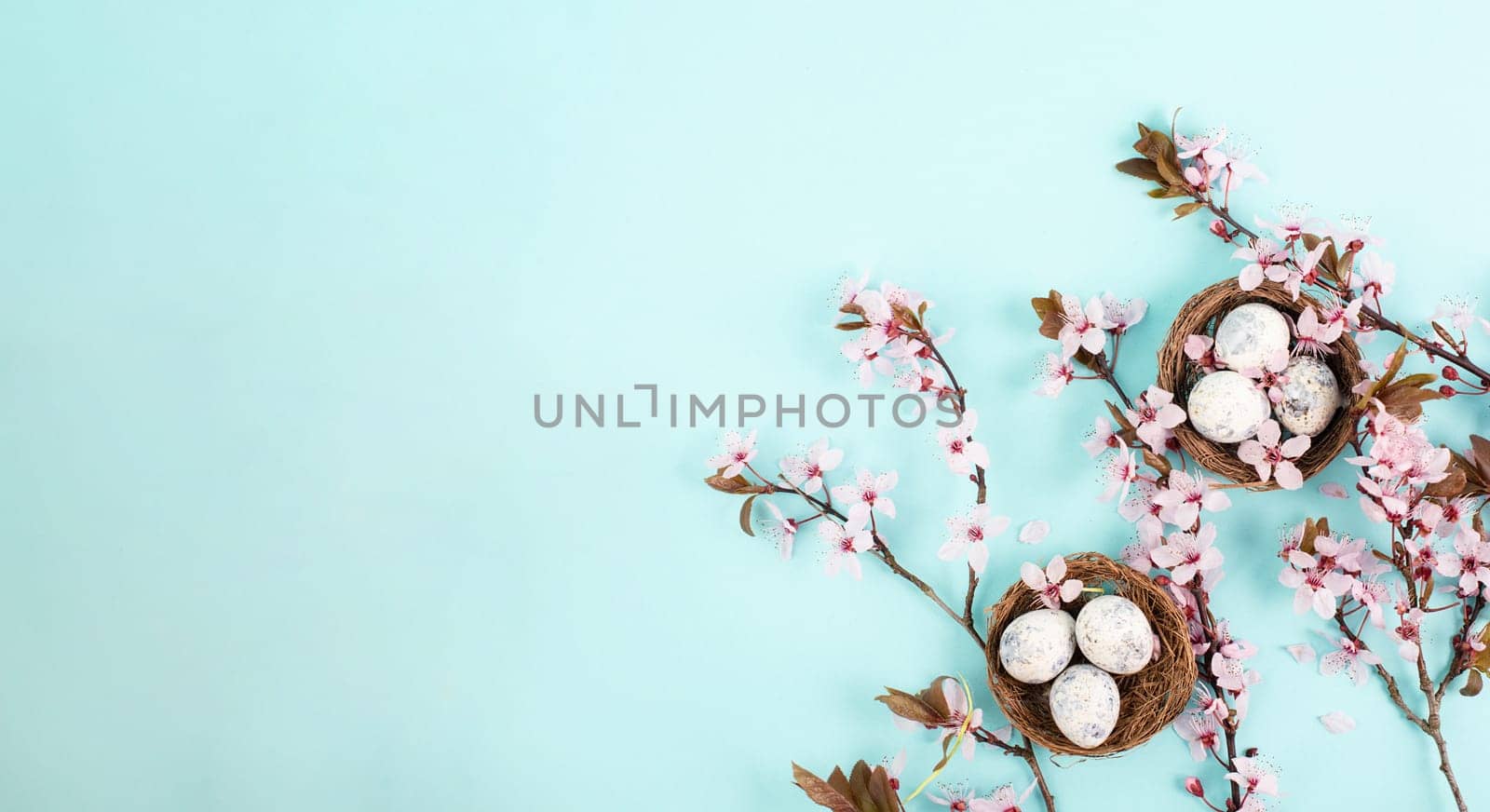 Colored easter eggs in a bird nest, pink cherry blossoms, holiday greeting card, spring season background
