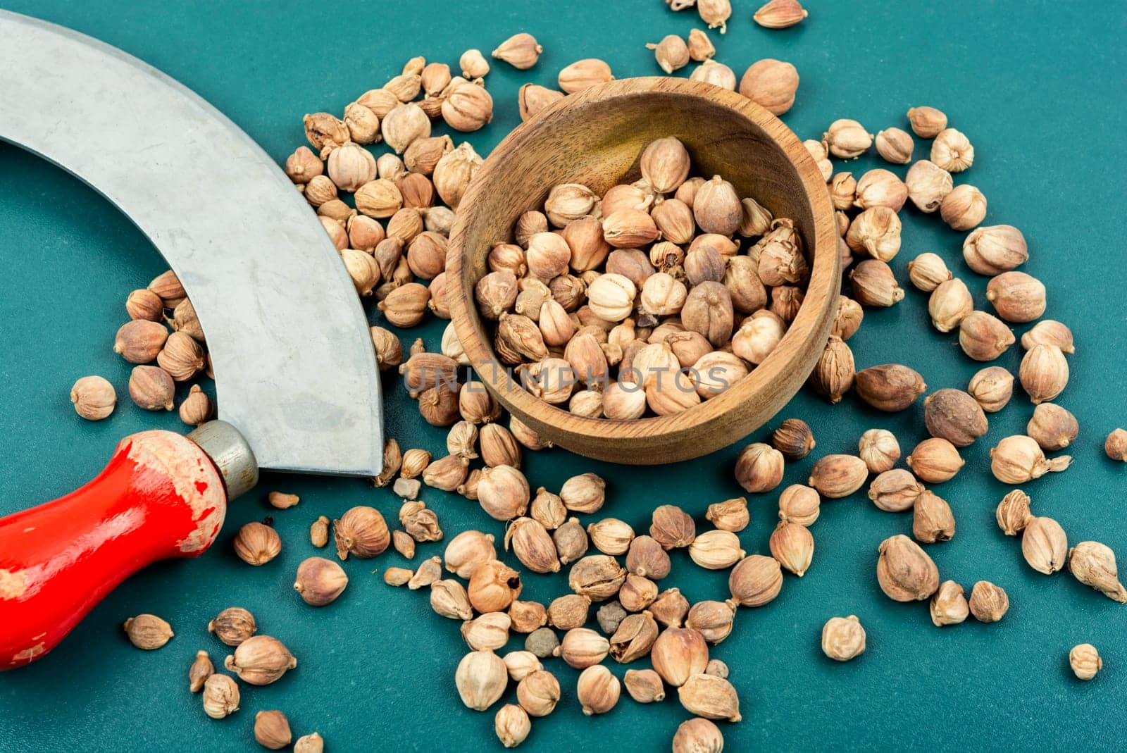 Fragrant white cardamom in a wooden bowl. Indian cooking. Dried herb spice, condiment and knife.