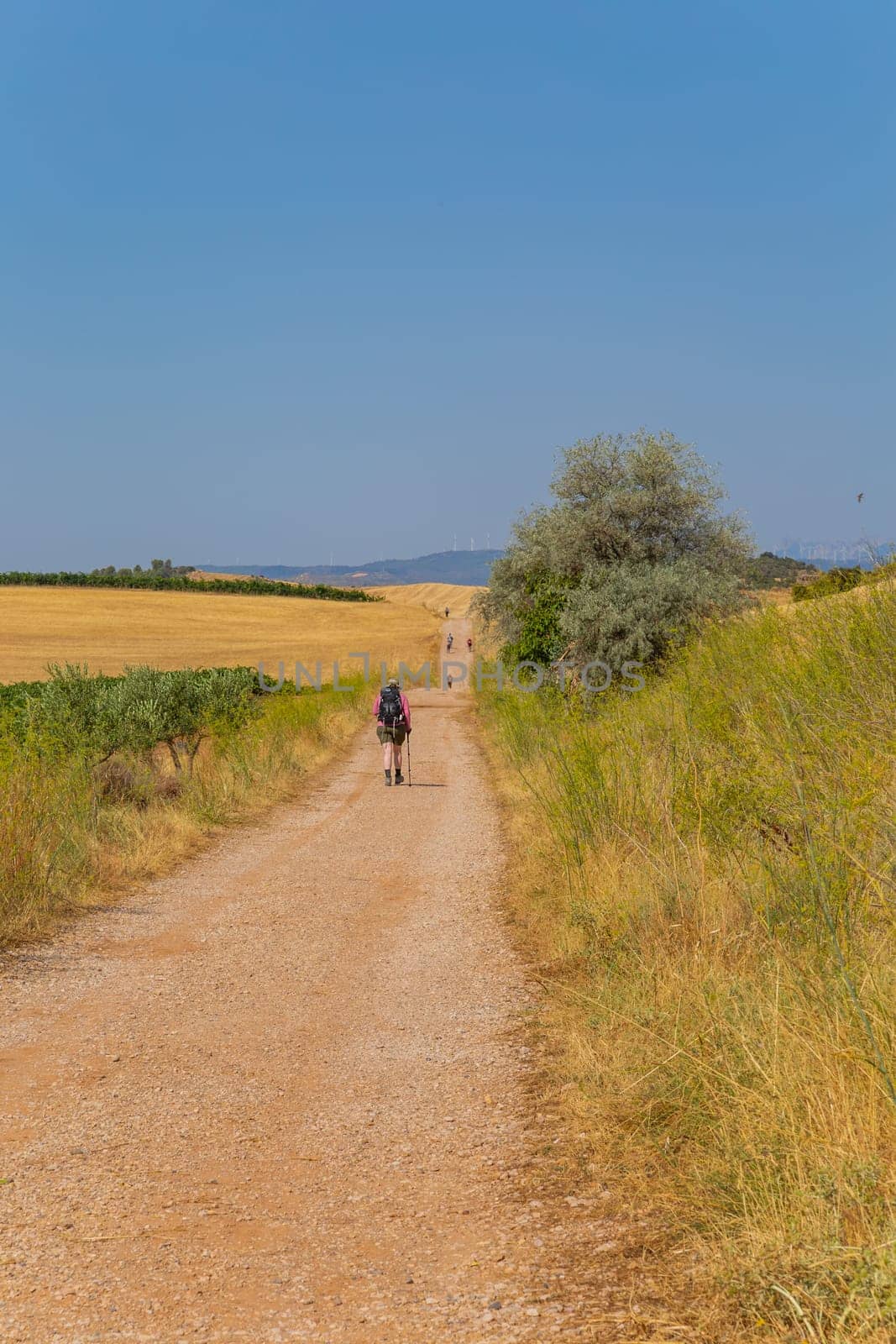 Navarre, Spain, 26 August, 2022: Pilgrims walk along the Camino De Santiago, the Way of St. James pilgrimage route, Navarra, Spain.
