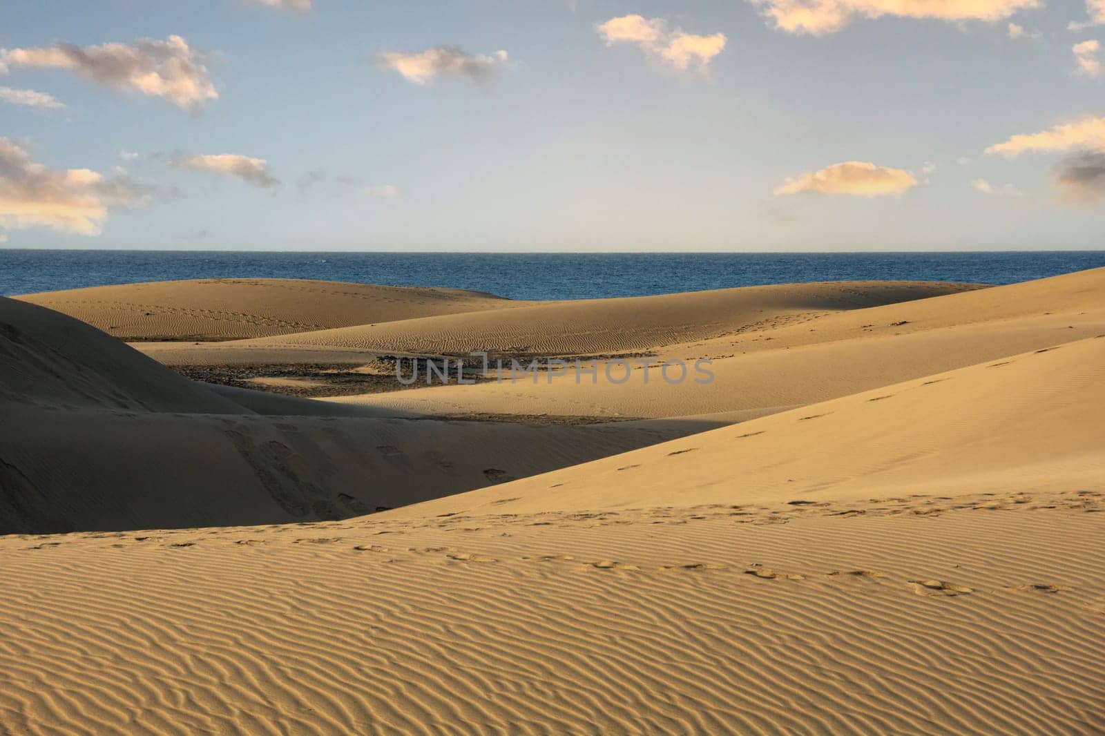 In the dunes of Maspalomas on Gran Canaria in Spain. View of the sea, with blue sky. The huge sand dunes resemble a small desert and are a nature reserve.