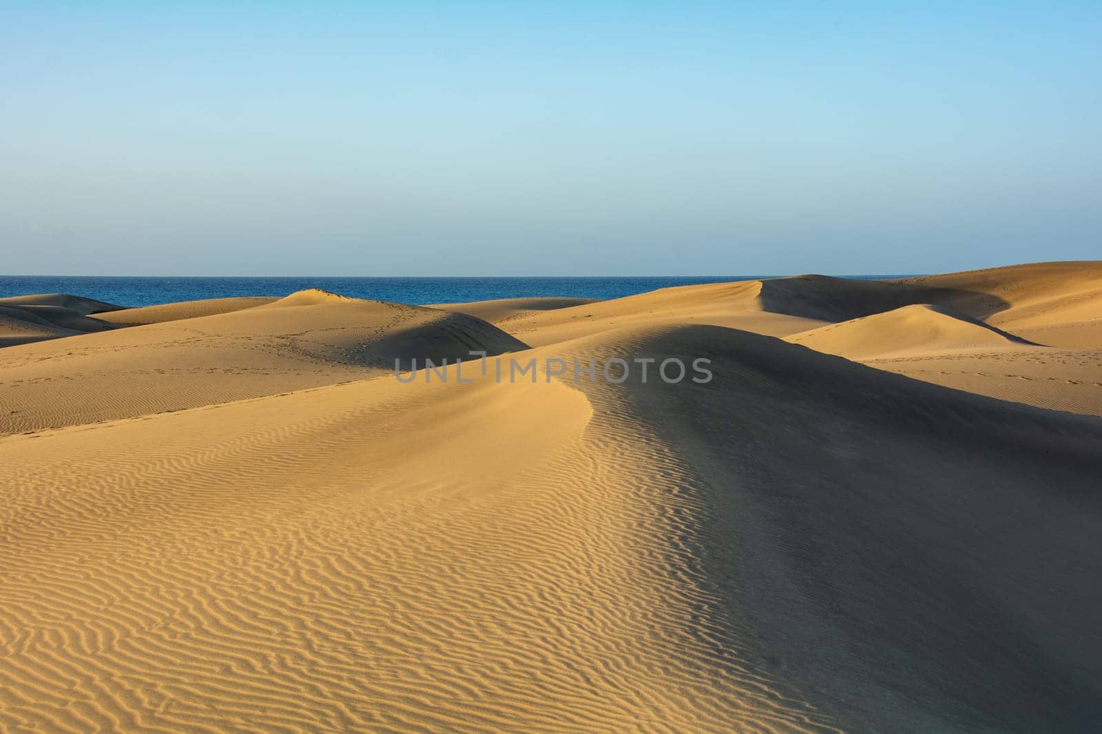 In the dunes of Maspalomas on Gran Canaria in Spain. View of the sea, with blue sky. The huge sand dunes resemble a small desert and are a nature reserve.
