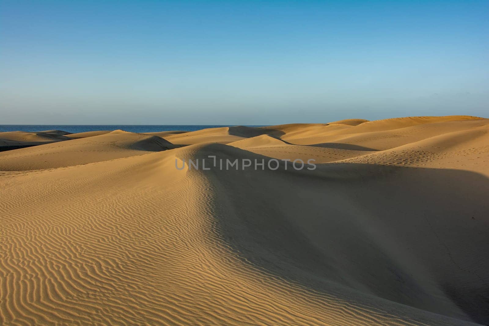 In the dunes of Maspalomas on Gran Canaria in Spain. View of the sea, with blue sky. The huge sand dunes resemble a small desert and are a nature reserve.