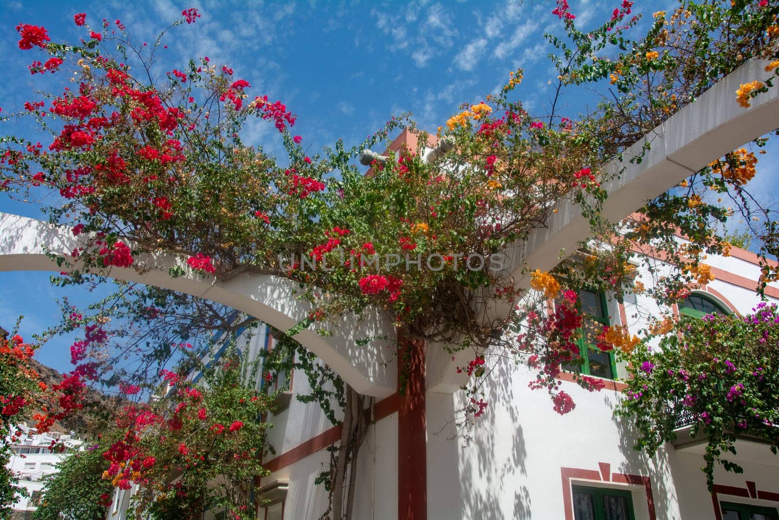 Flowers on the houses in the romantic fishing village of Puerto de Mogán on the Canary Island of Gran Canaria in Spain