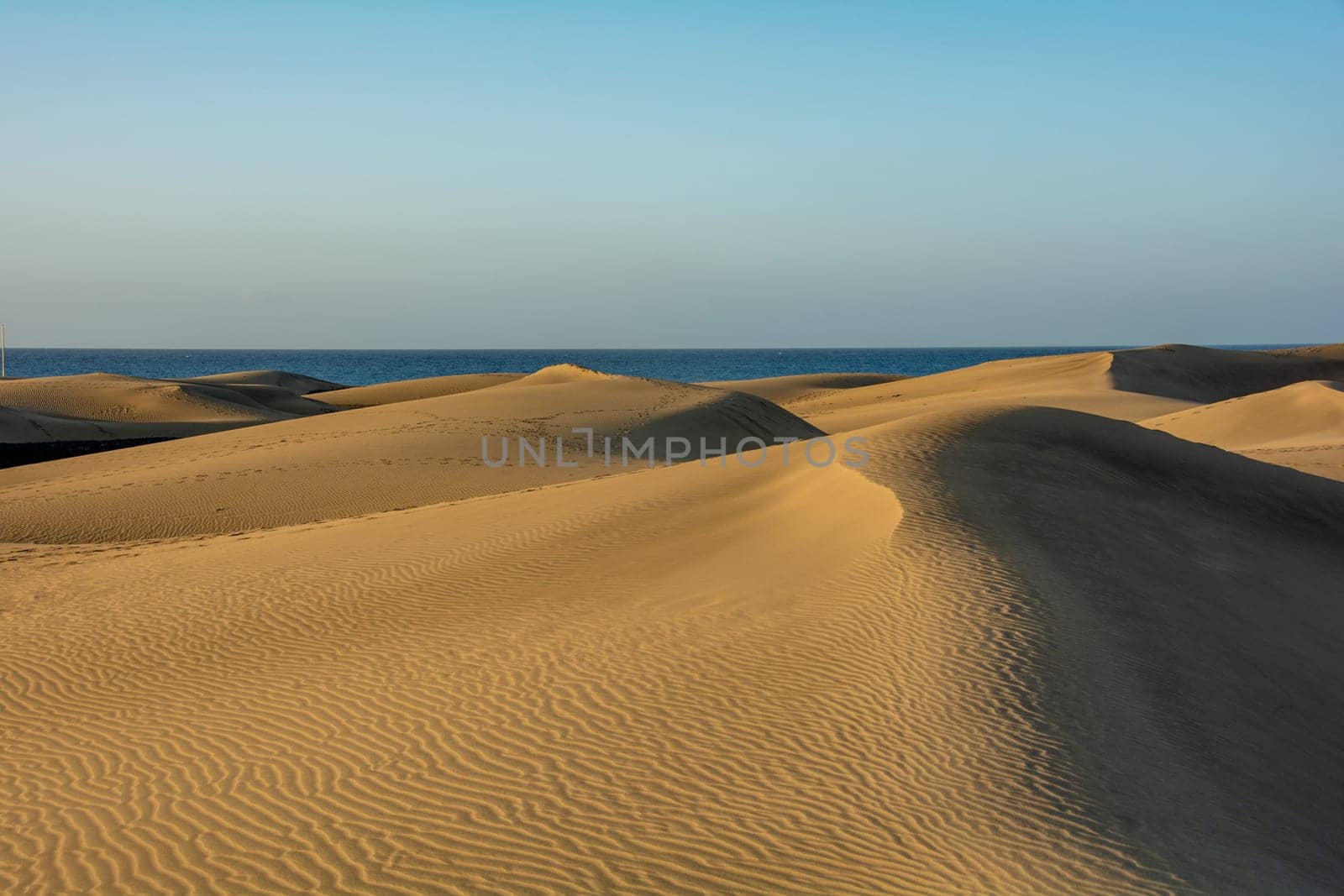 In the dunes of Maspalomas on Gran Canaria in Spain. View of the sea, with blue sky. The huge sand dunes resemble a small desert and are a nature reserve.