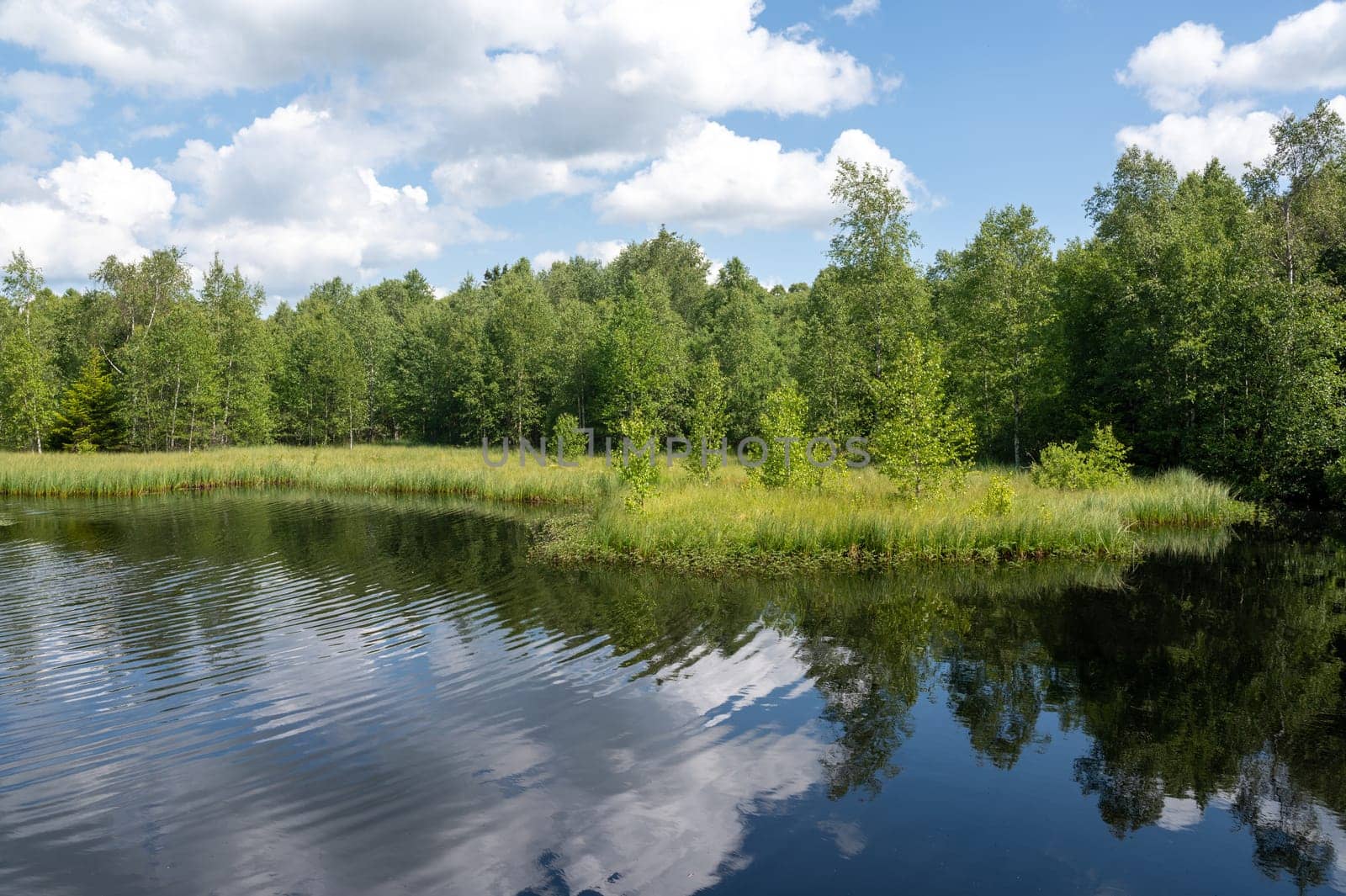 Reservoir at the red moor in the high Rhoen, Hesse, Germany. With blue sky and white clouds and reflection in the water