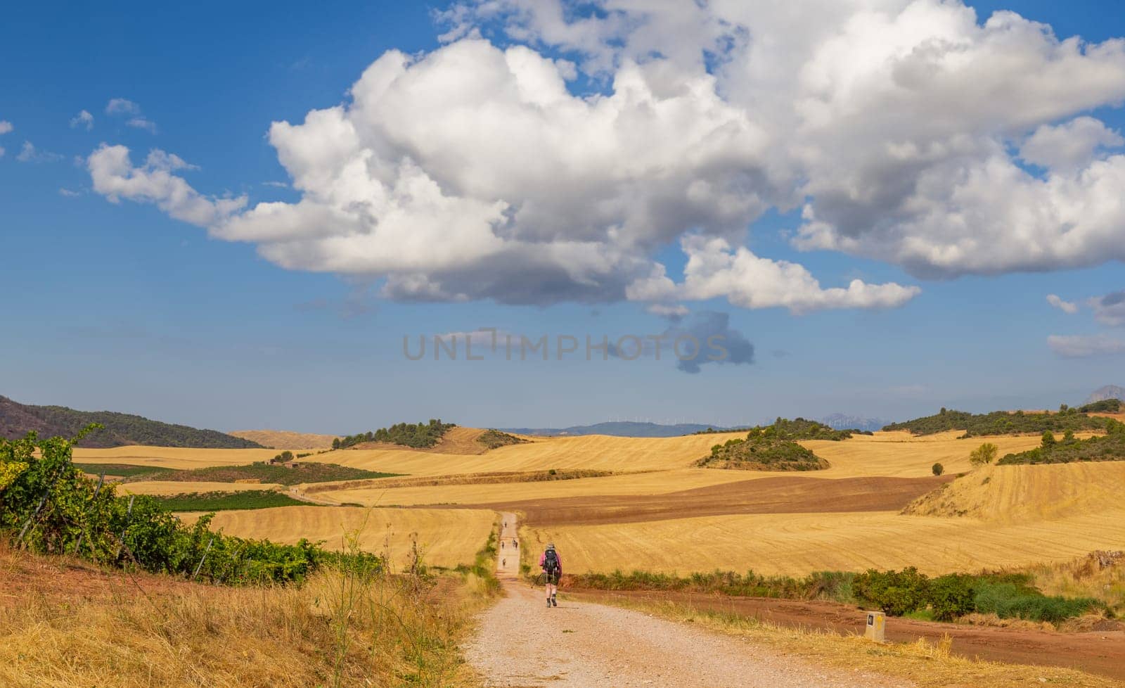 Navarre, Spain, 26 August, 2022: Pilgrims walk along the Camino De Santiago, the Way of St. James pilgrimage route, Navarra, Spain.