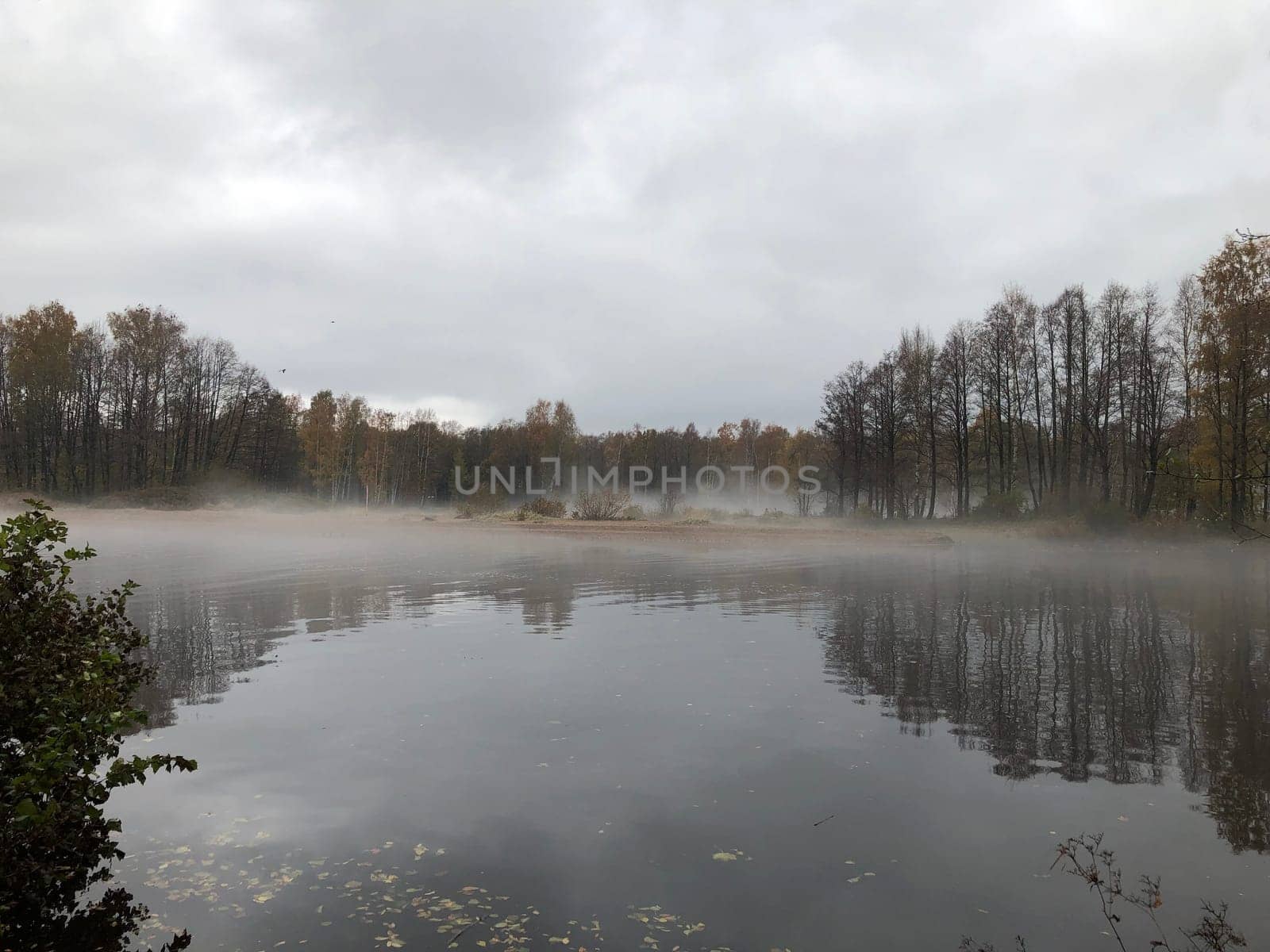 white fog flies over the river, trees are reflected in the water, cloudy, autumn landscape