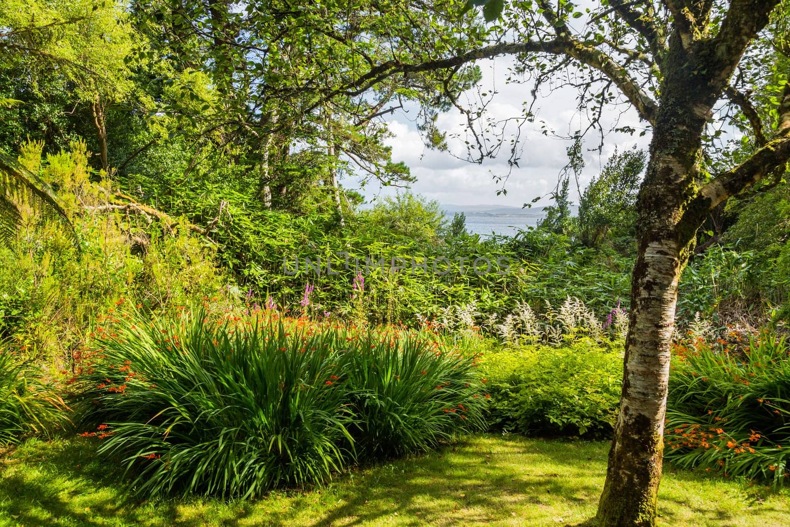 Landscape in a bay near Glengarriff harbor. View from Glengarriff guay to Garinish Island.