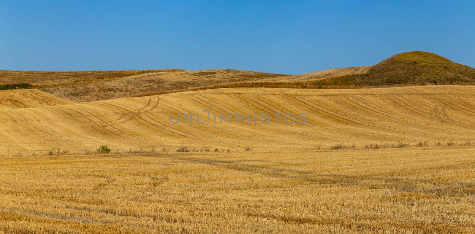 view of a crop field in the north of Spain