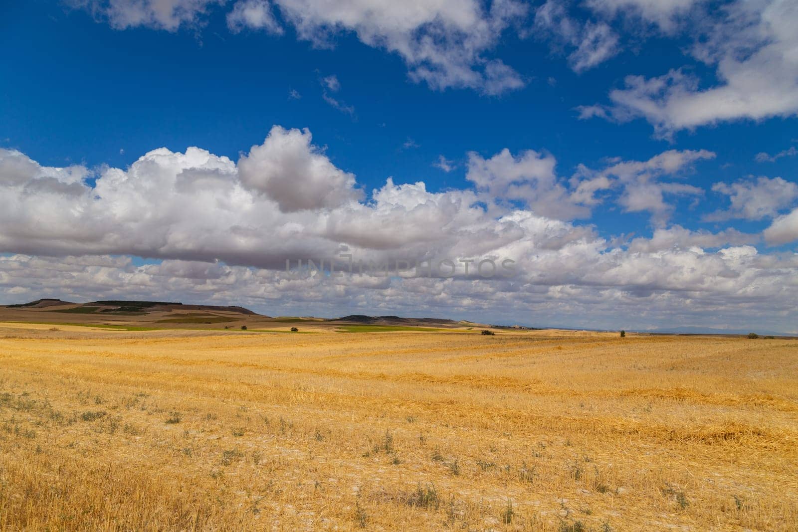 view of a crop field in the north of Spain
