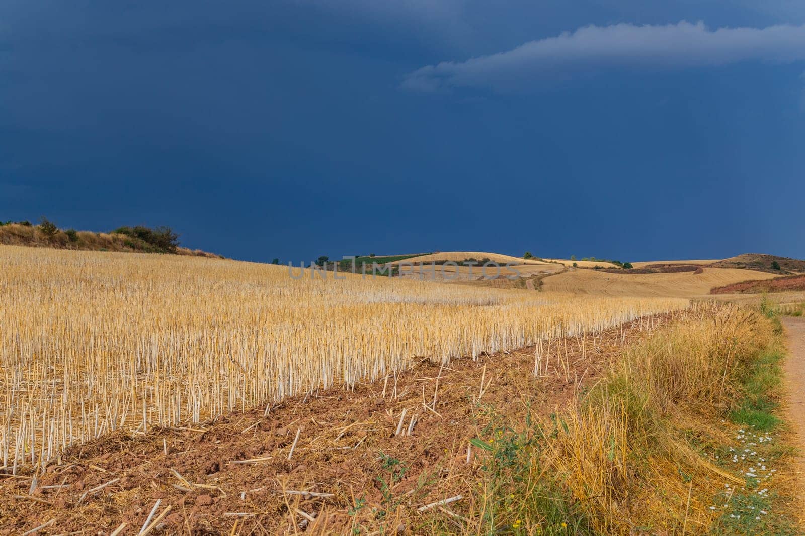 Rural road in the Spanish countryside among agricultural fields, after wheat harvest season. Navarra, Spain