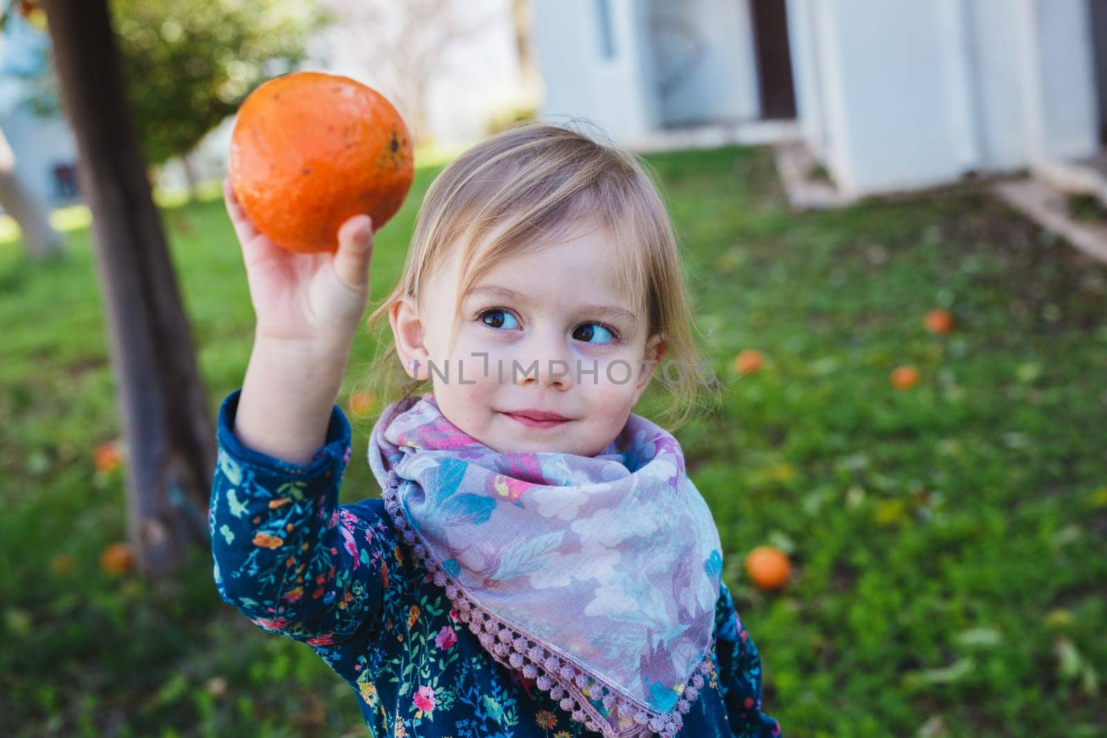 Little girl holding apples in the garden