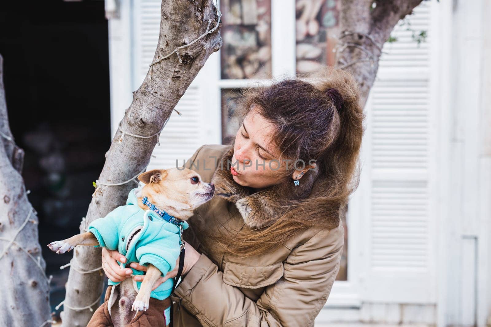 Woman holding in hands Chihuahua dog on the light outdoors background.