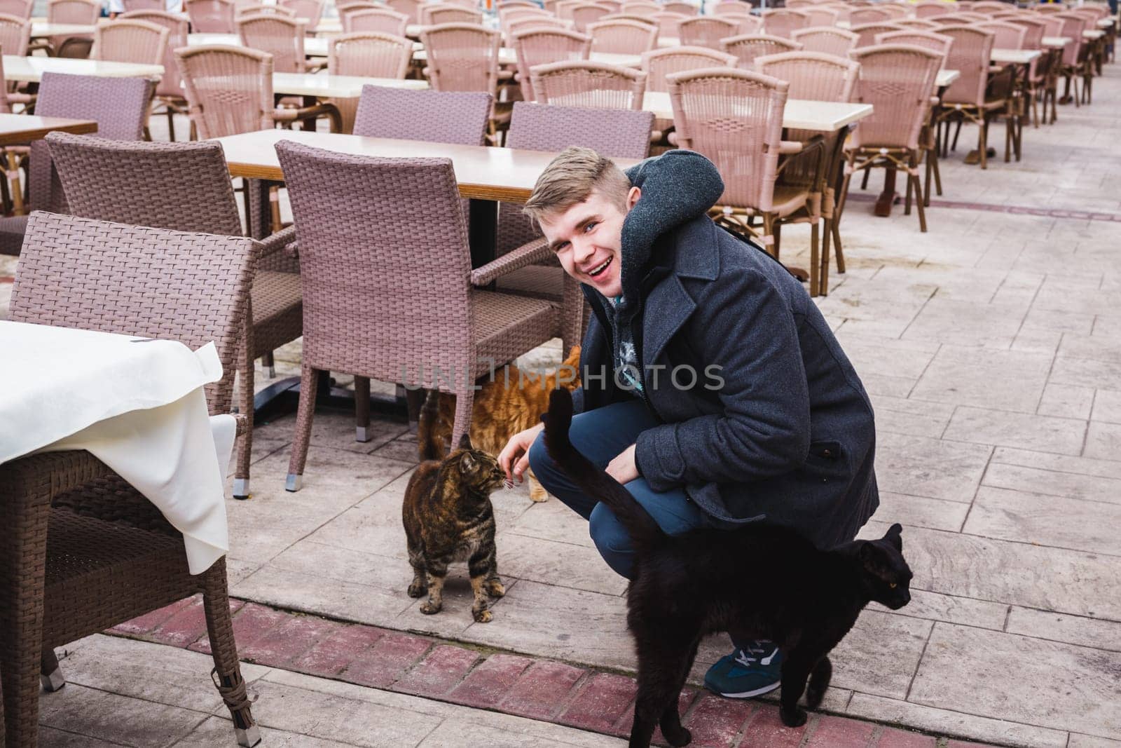Smiling young man stroking the stray cats.
