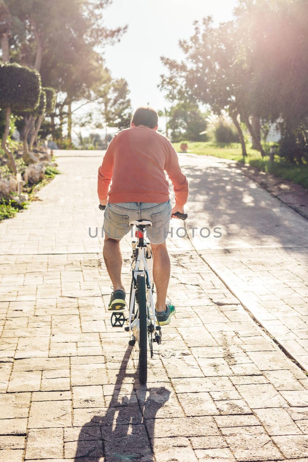 Back view of handsome guy riding bicycle in the park.