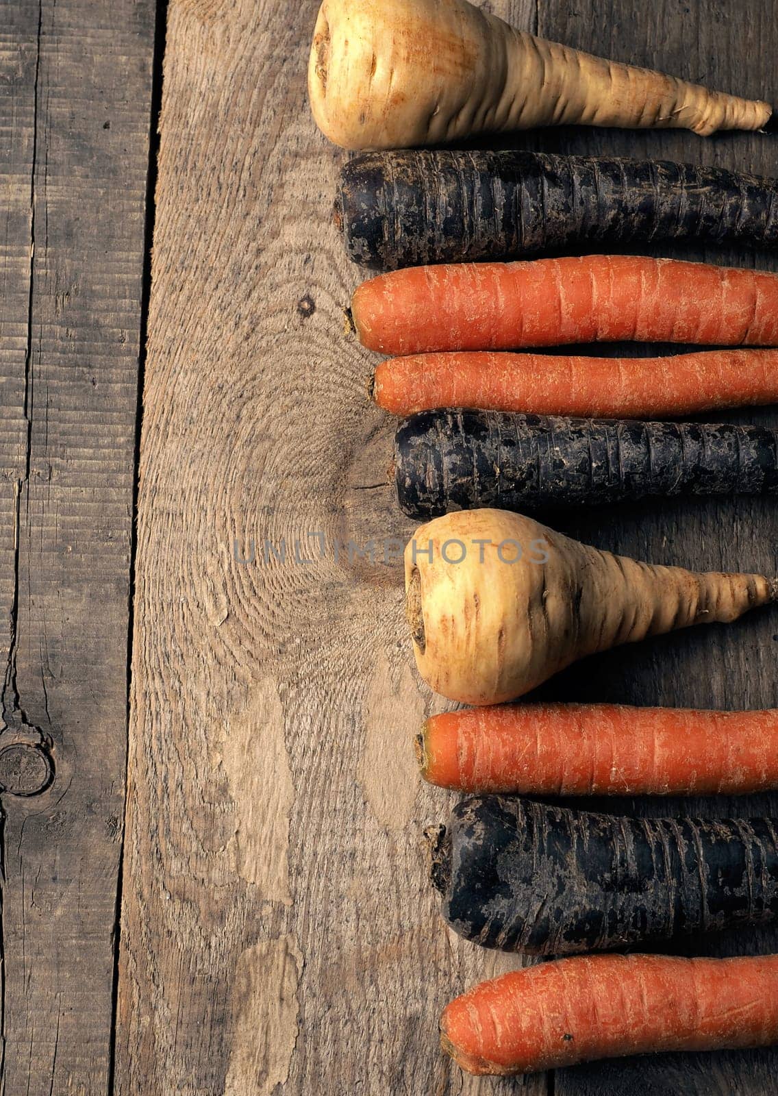 Three different root vegetables on a rustic wooden kitchen table on a dark background with space for text or image, healthy food or vegan ingredients concept, cover image, vegetarian food