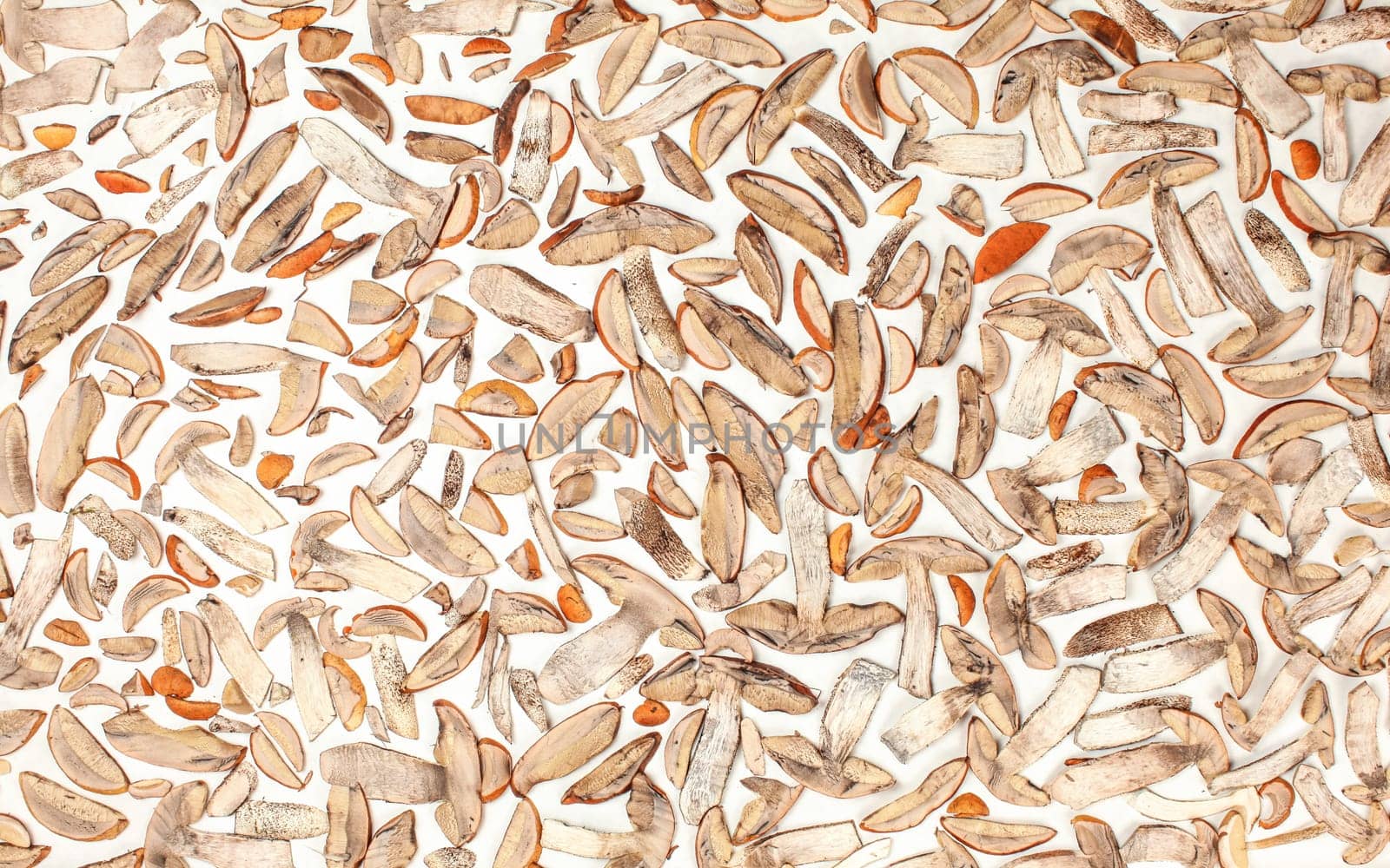 Tabletop view - forest mushrooms - orange cup scaber stalk - cut to thin slices, left on white paper to dry