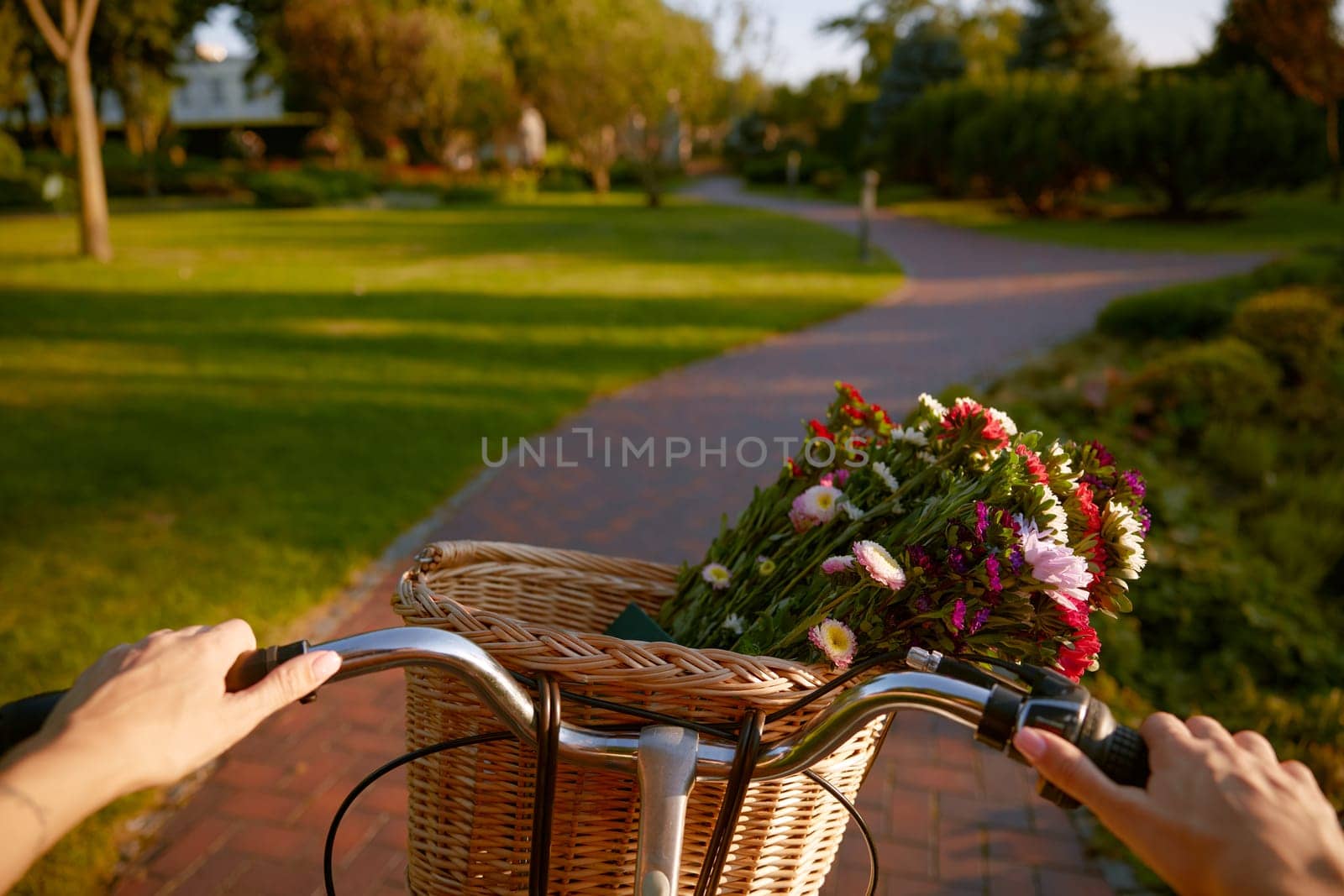 Closeup woman riding vintage bicycle with wildflower bouquet in basket. Handlebar view
