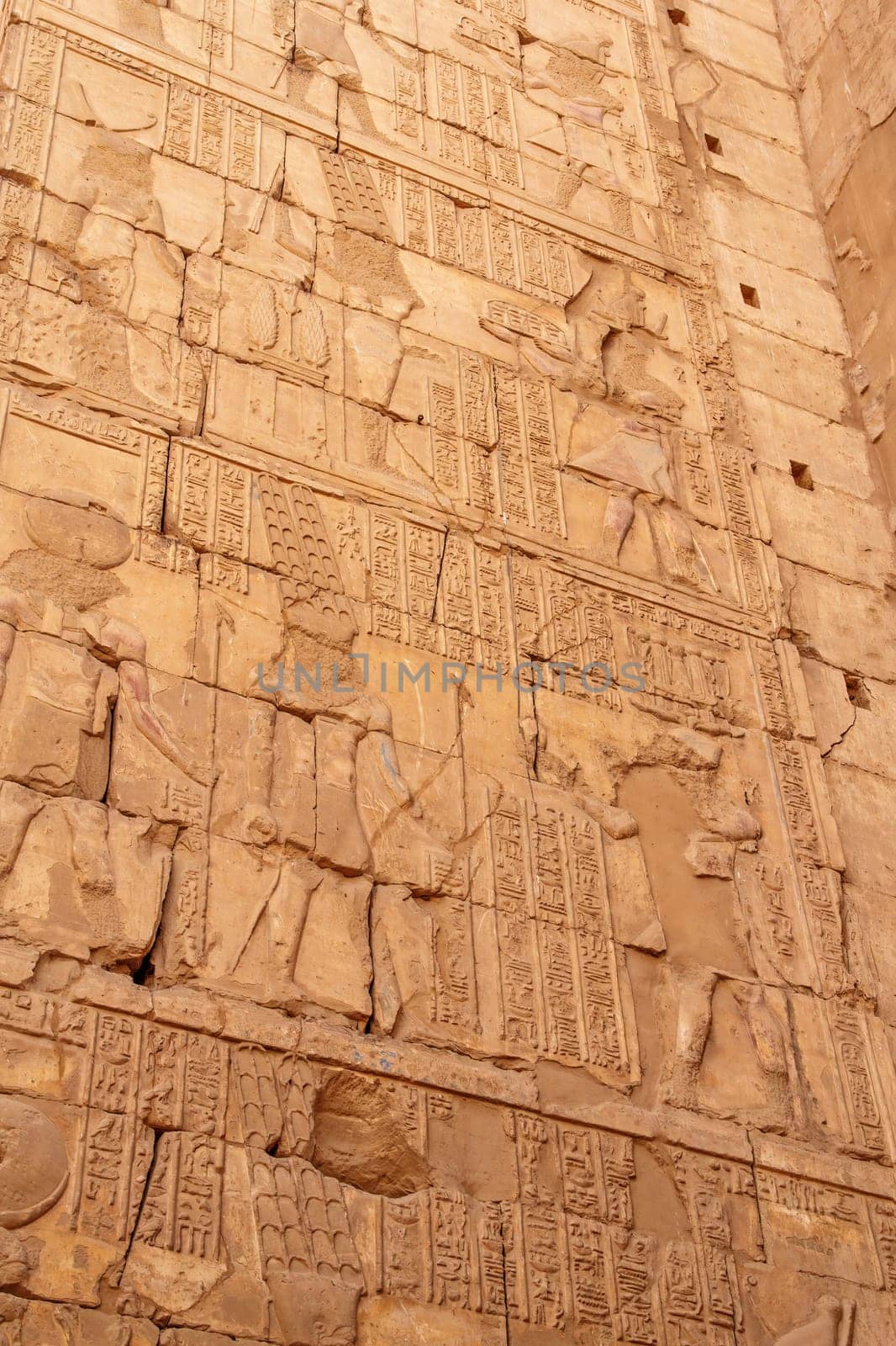 Old Egyptian hieroglyphs on an ancient wall.  Egypt. Vertically.