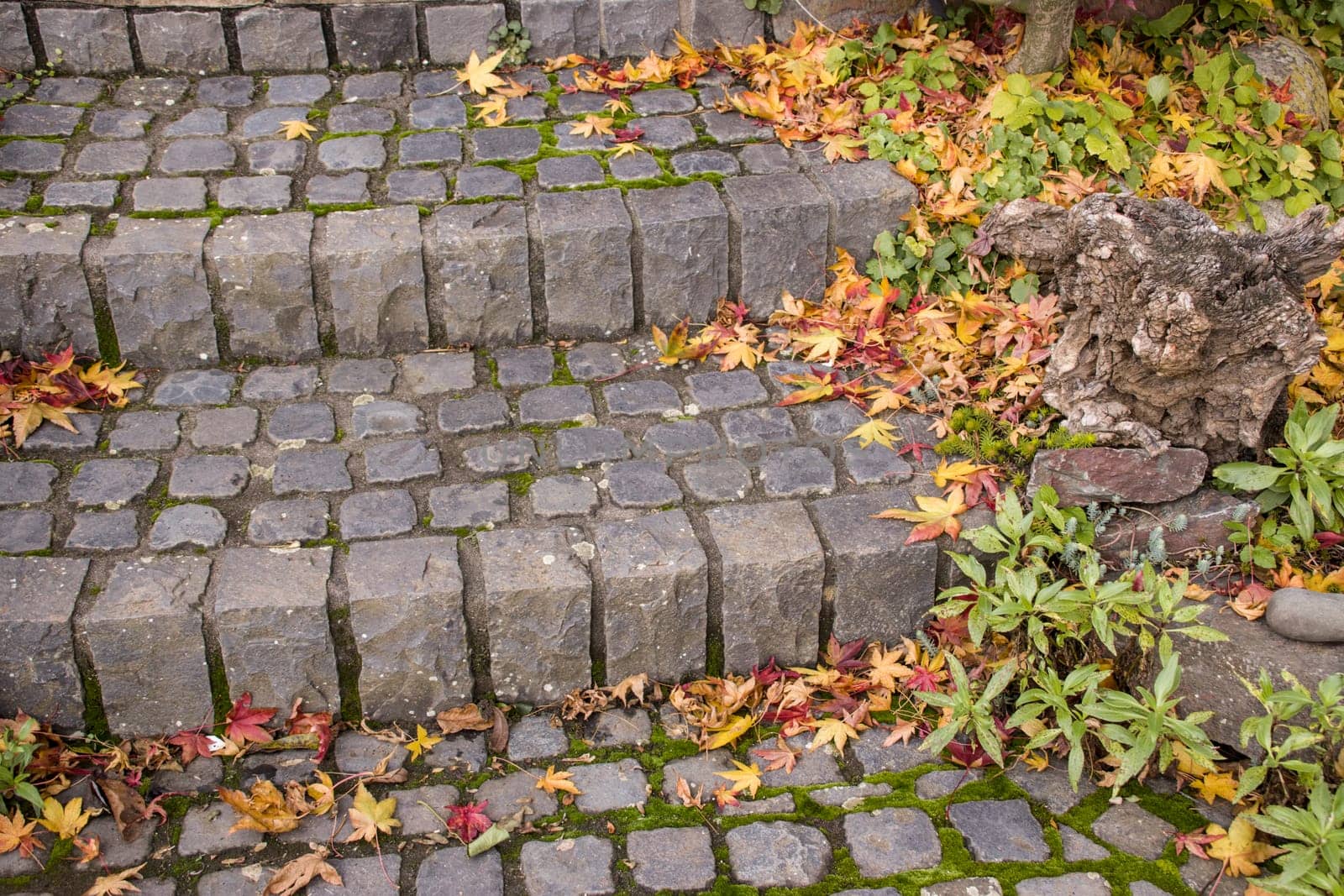 Herbstlaub auf einer Treppe aus Basalt-Pflastersteinen