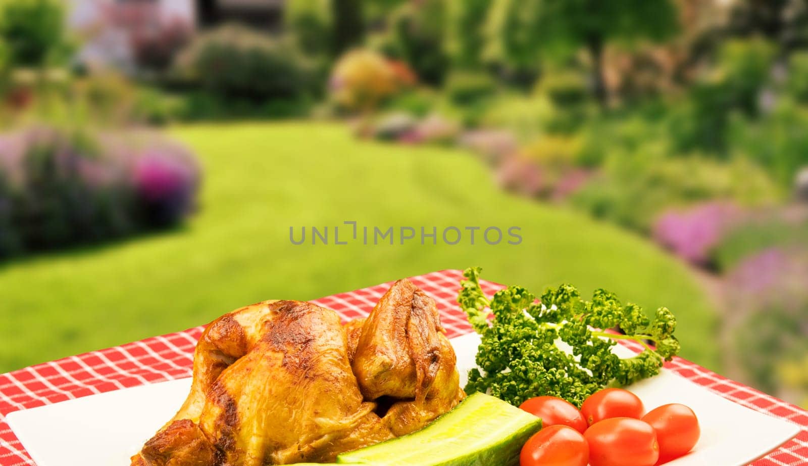 Grilled fresh fried chicken with vegetables on a white plate on table with red checkered table cloth over a blurred garden background. Meat on barbecue grill.