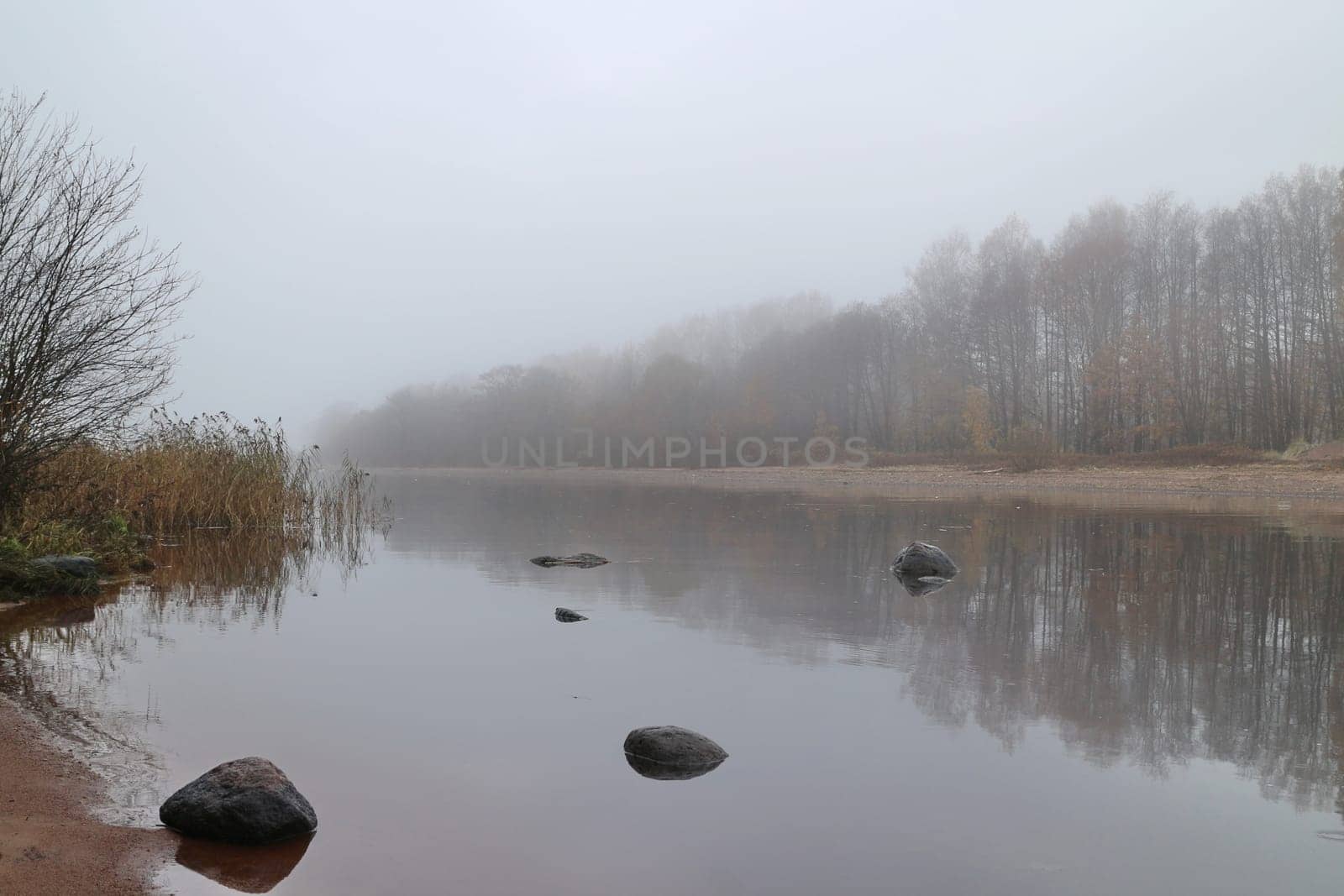 dense white fog, quiet autumn morning, river bank, trees reflected in milky water, landscape