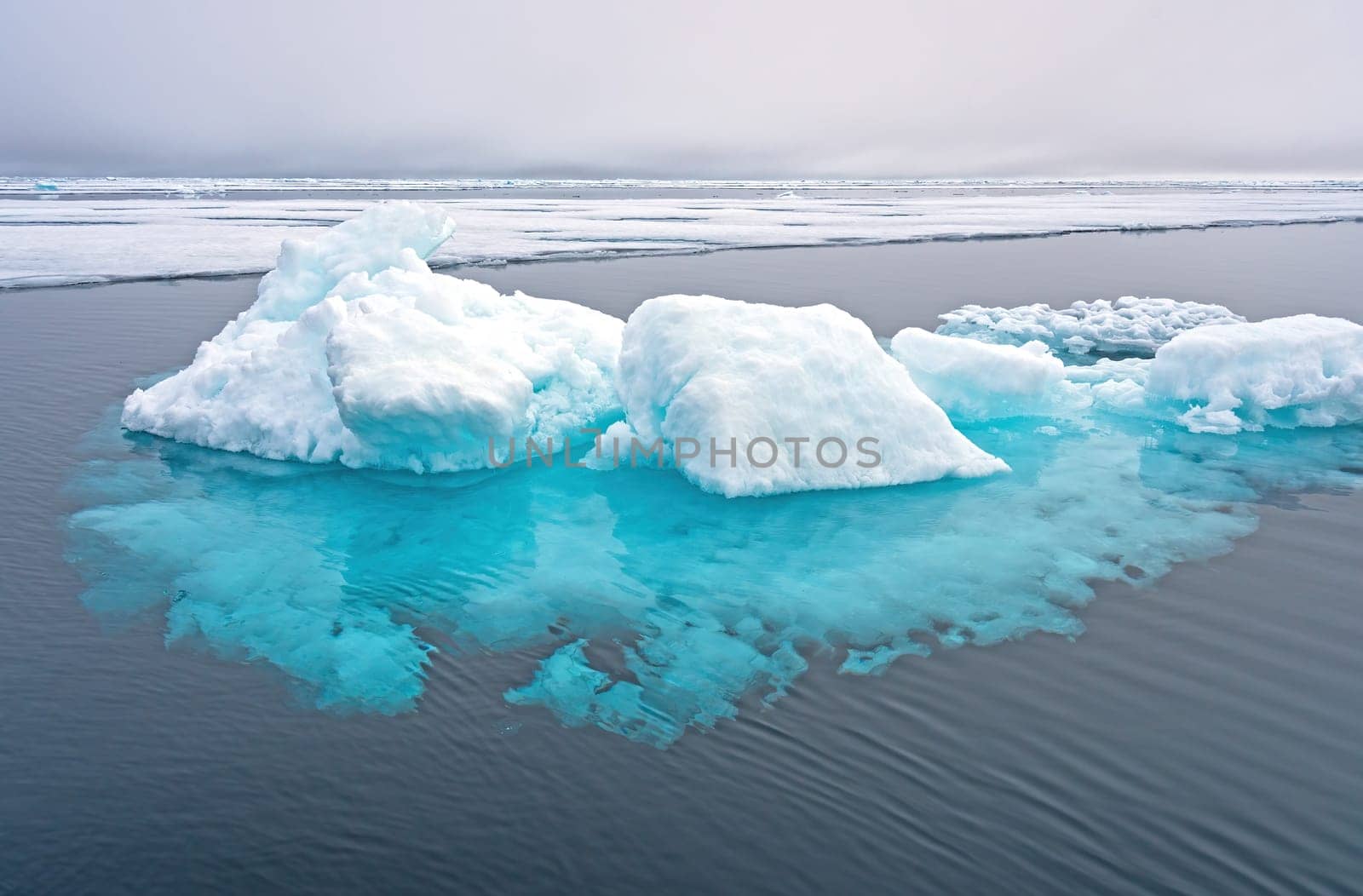 Floating Icebergs on the Pack Ice Near the North Pole.